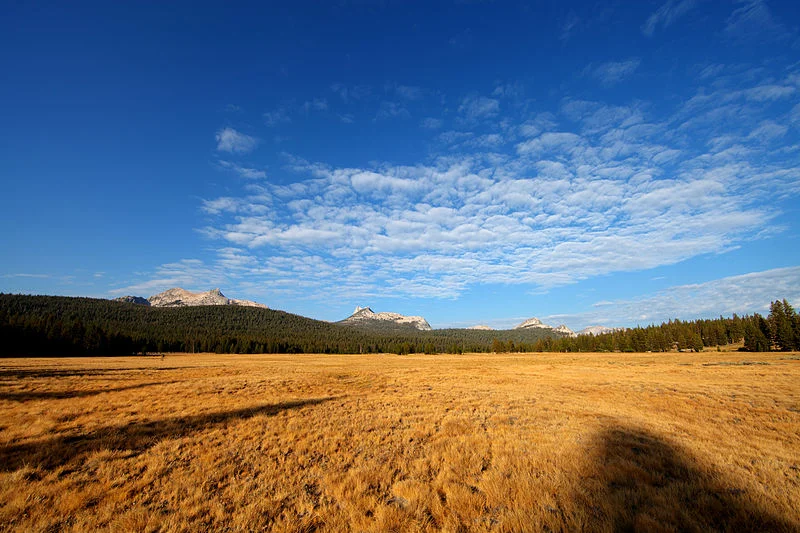 Almonroth-800px-Tuolumne_Meadows_hdr.jpg