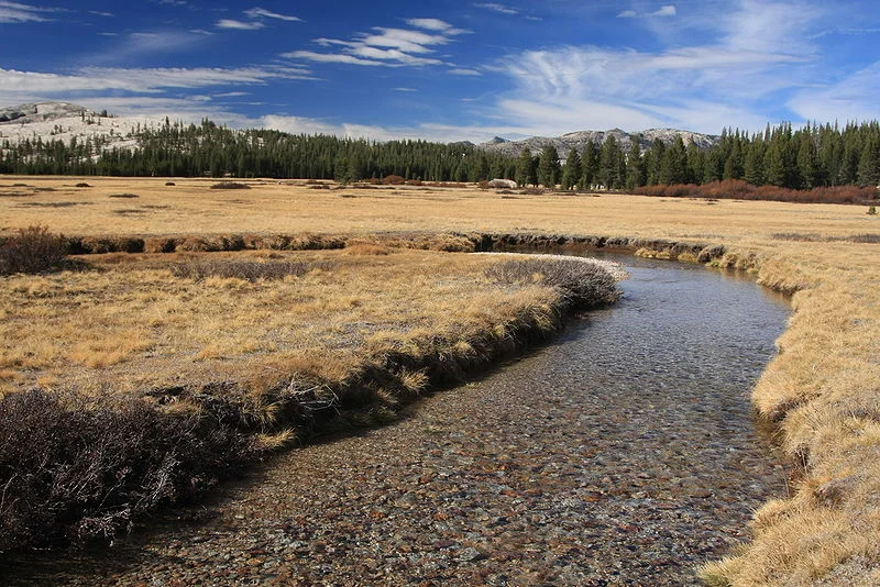 Wingchi Poon-800px-Tuolumne_Meadows_with_Meandering_River_in_Autumn.jpg