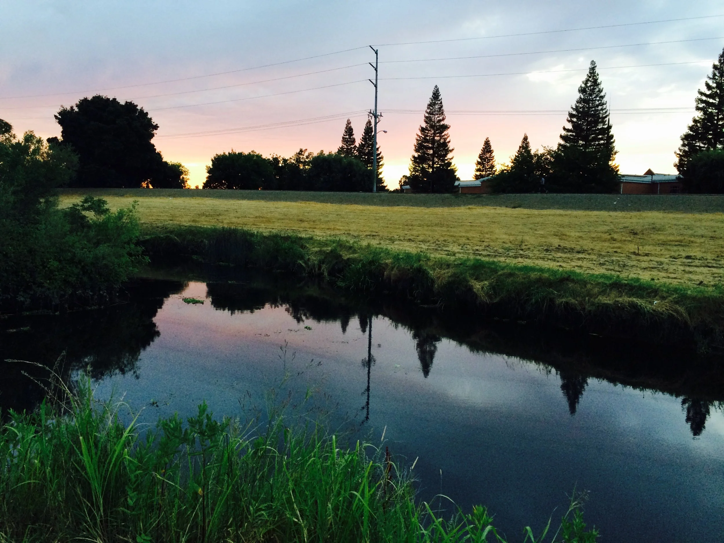 Stockton, CA along the Calaveras River on the campus of UOP