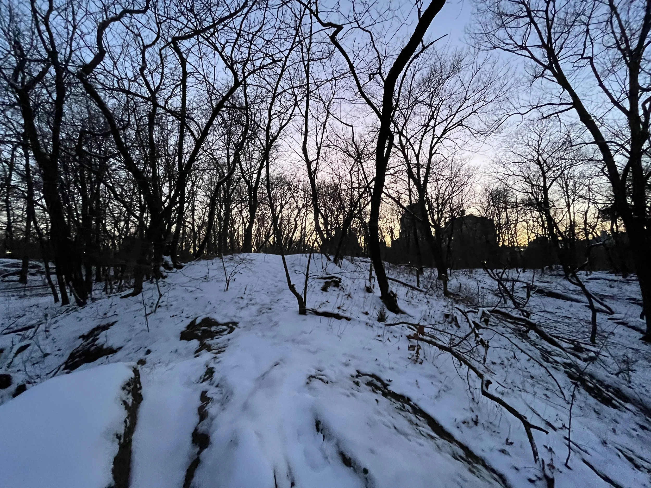 IMG_3888.jpeg