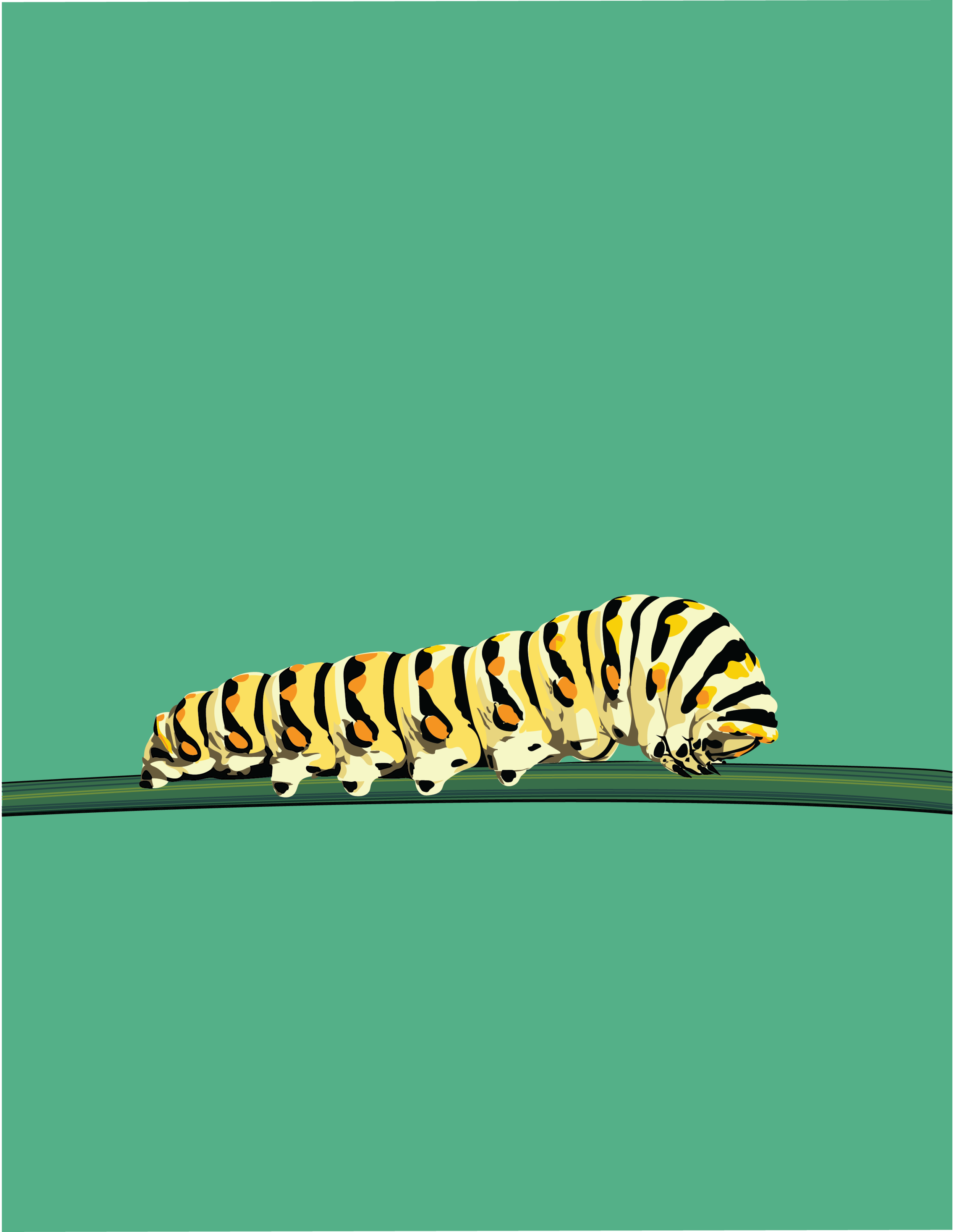 Caterpillar.png