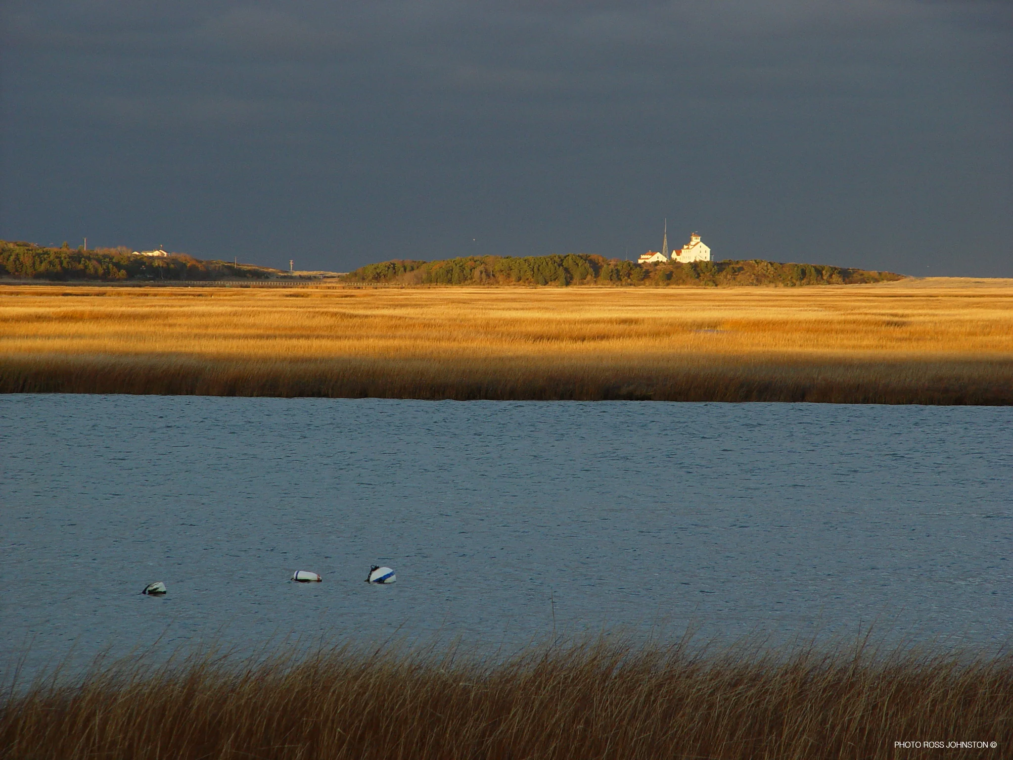 RossJohnstonNausetMarsh.jpg