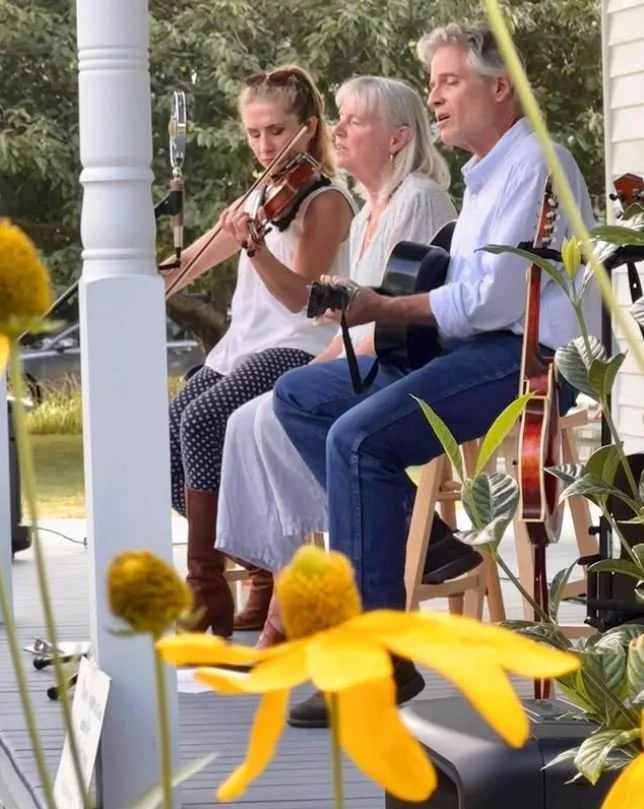 Long Time Traveling (American Roots and Traditional Music) 