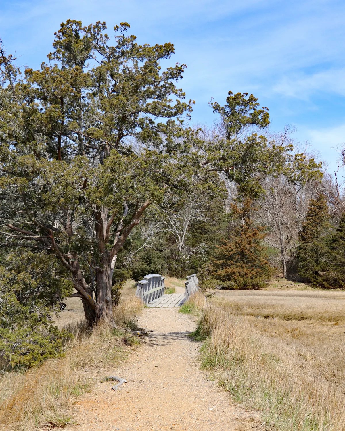 Discover Nauset Marsh