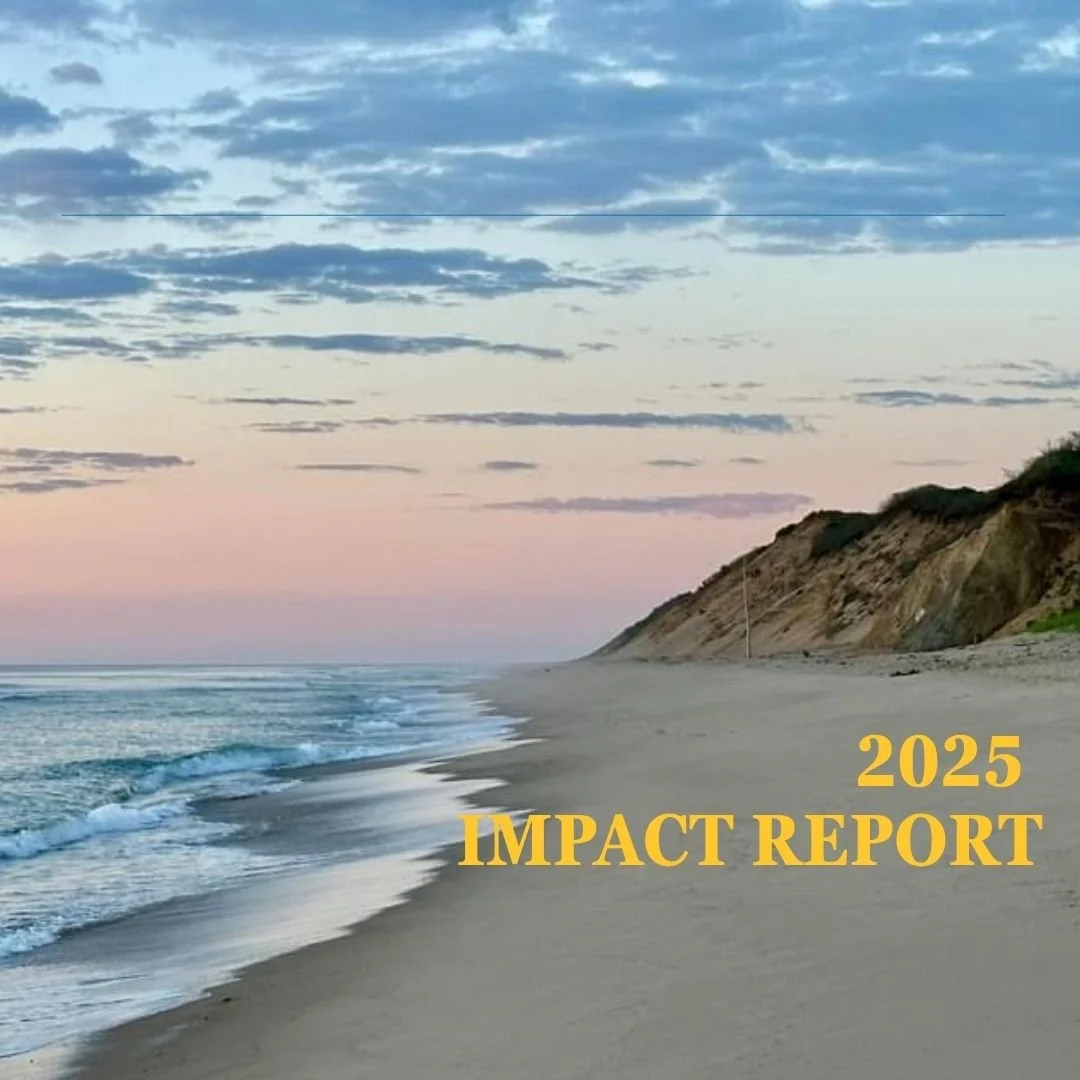 2025 Impact 