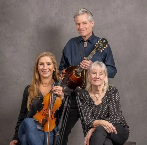 Long Time Traveling (American Roots and Traditional Music)