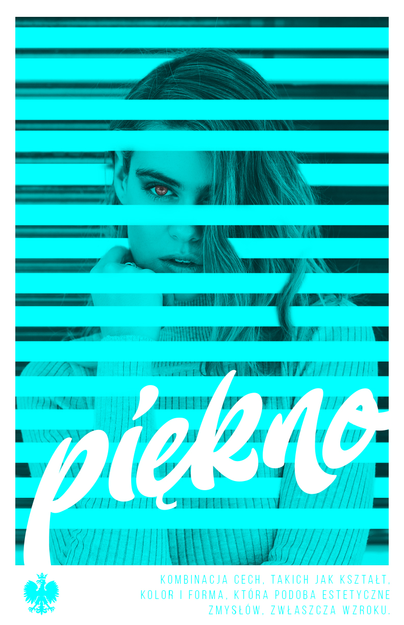 11in x 17in Poster