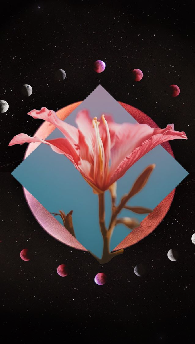 Screen Shot 2019-04-06 at 10.10.21 PM.png