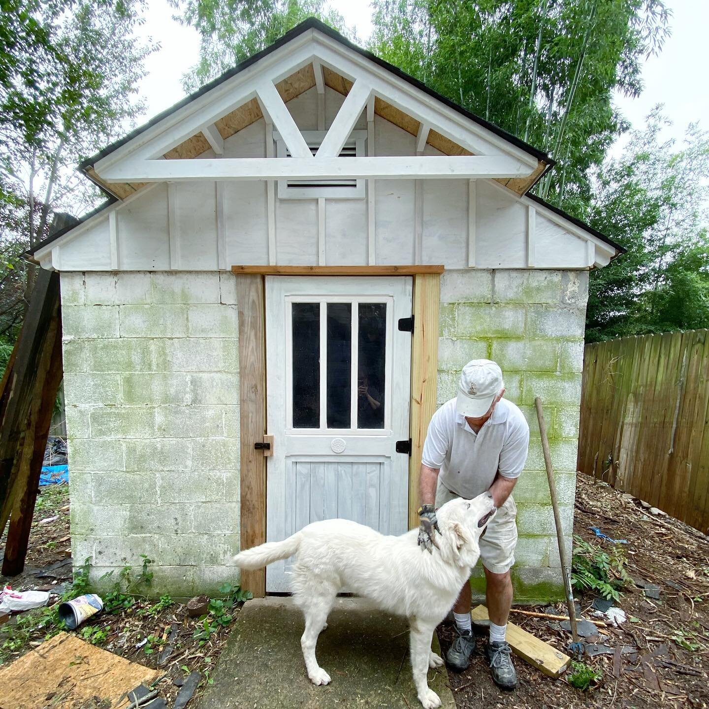 My Dad rebuilt the old shed in my yard. It&rsquo;s like new. Still in process and then painting. 
🌺what color do you think we should paint it?

#underconstruction #gardenshed #dad ##greatpyreneespuppy #greatpyreneesofinstagram #dogsofinstagram #pyrm
