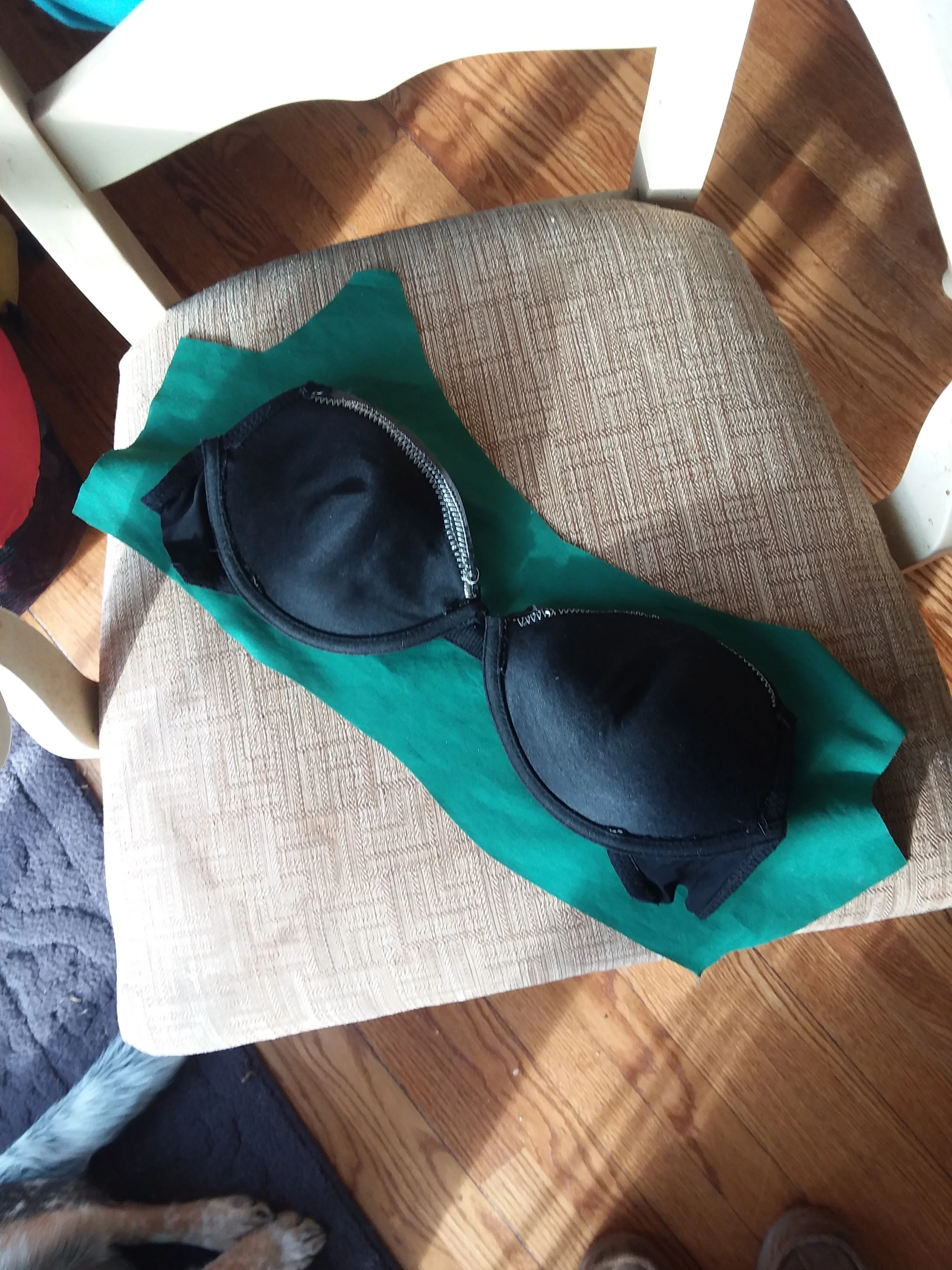 This is how the bra shelf looks before it has elastic added to the bottom and before being sewn into the garment. You can see the stitch lines where I sewed the cups back closed after adding wool.