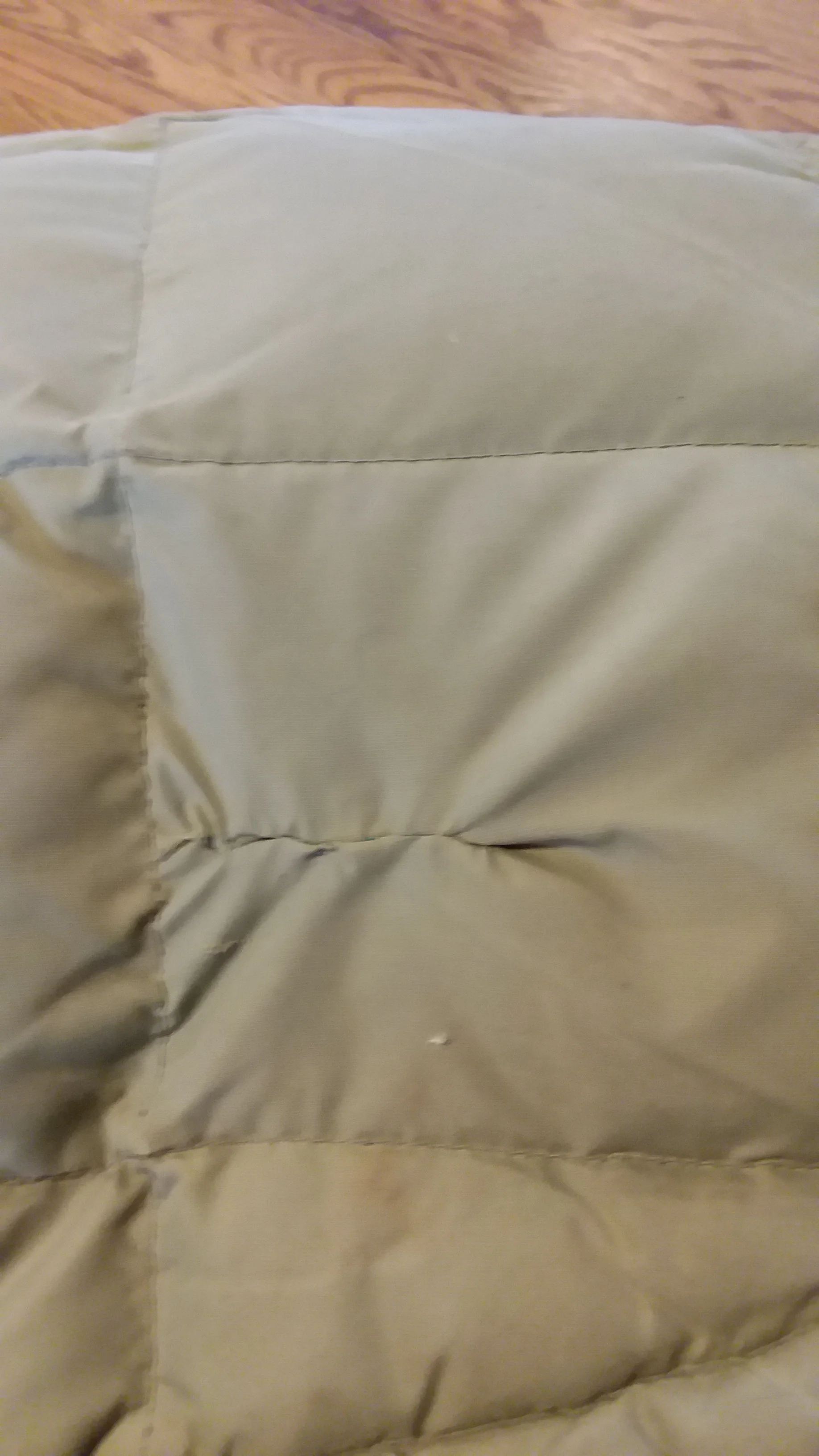 20190106_091628.jpg