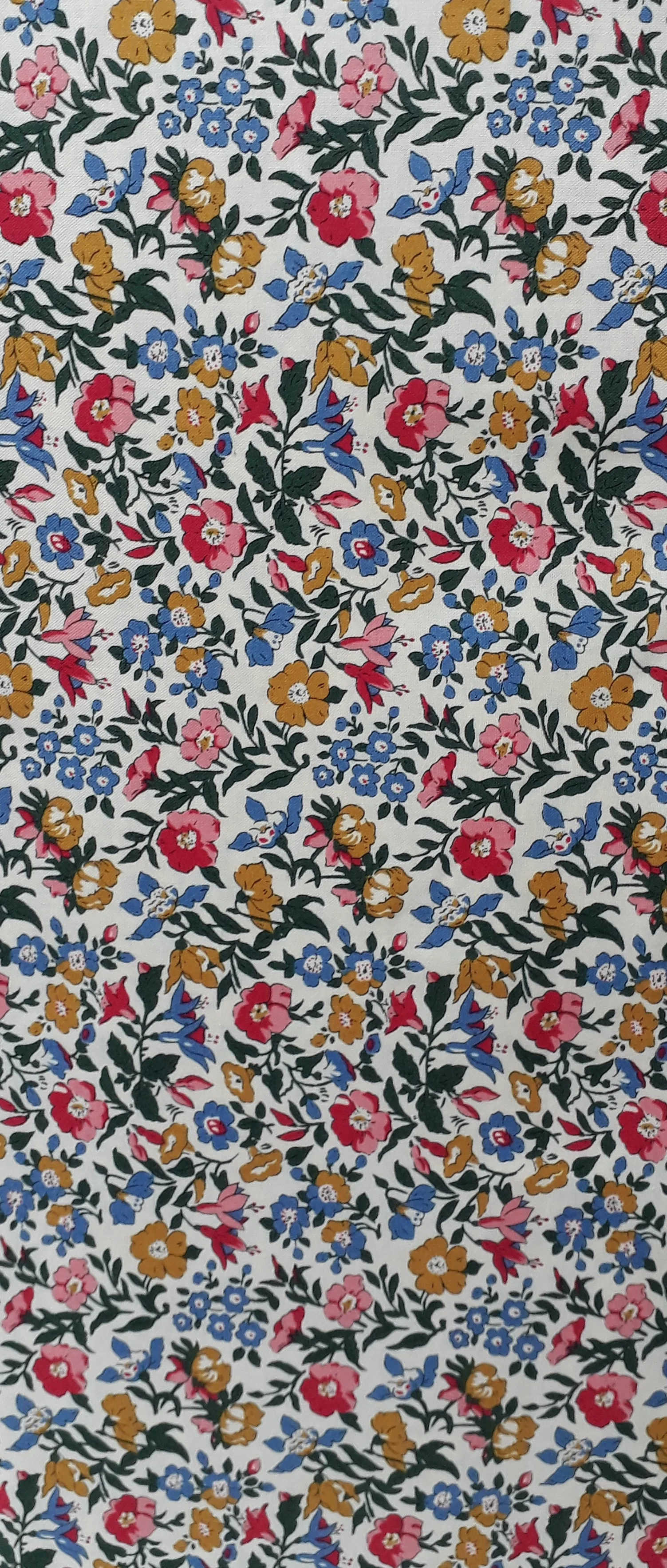 20190327_130802 (2).jpg