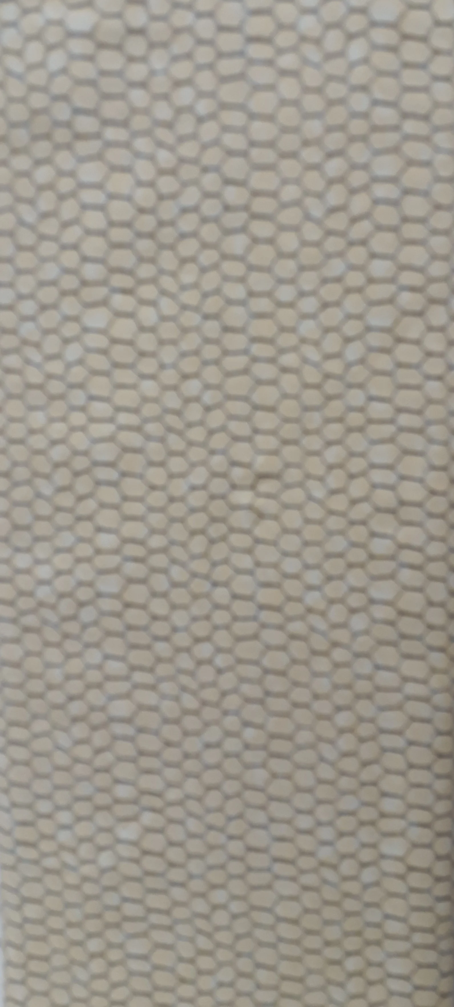 20190327_130514 (3).jpg