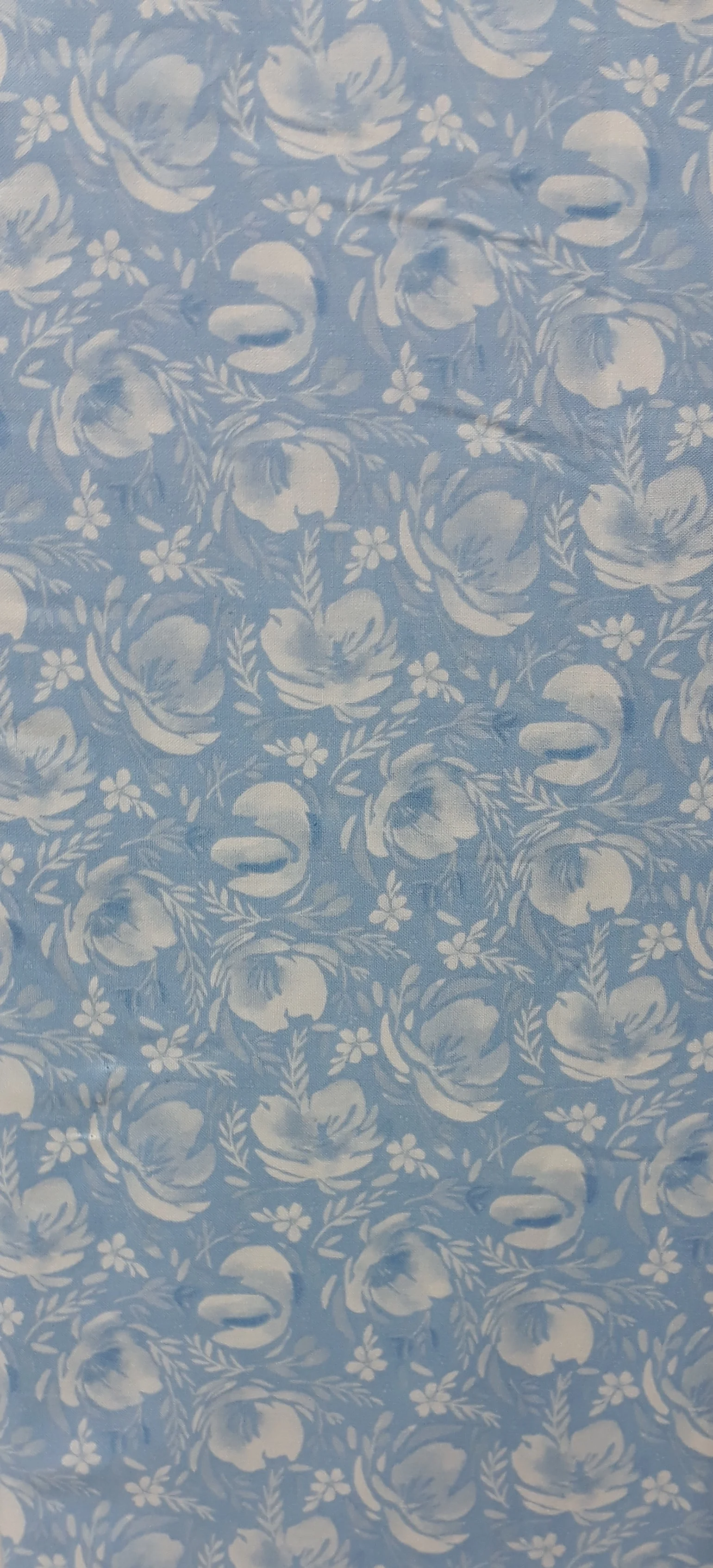 20190327_130355 (2).jpg