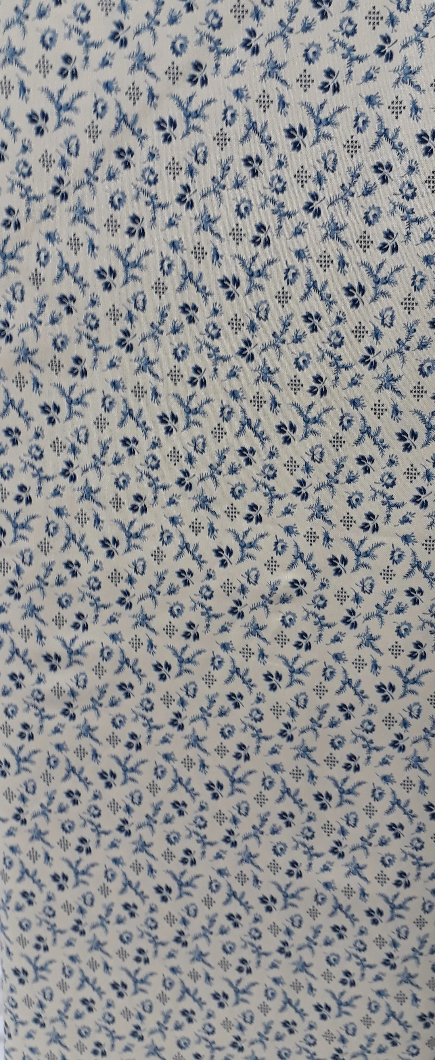 20190327_130325 (2).jpg