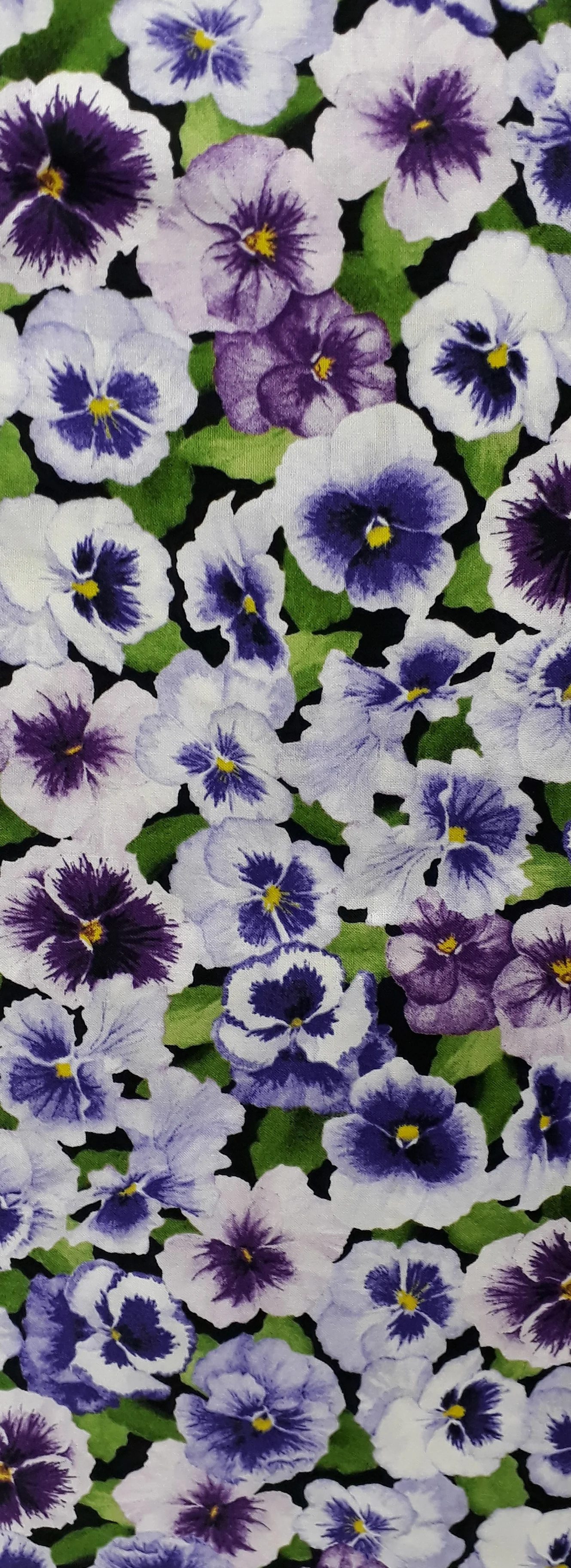 20190327_130242 (2).jpg