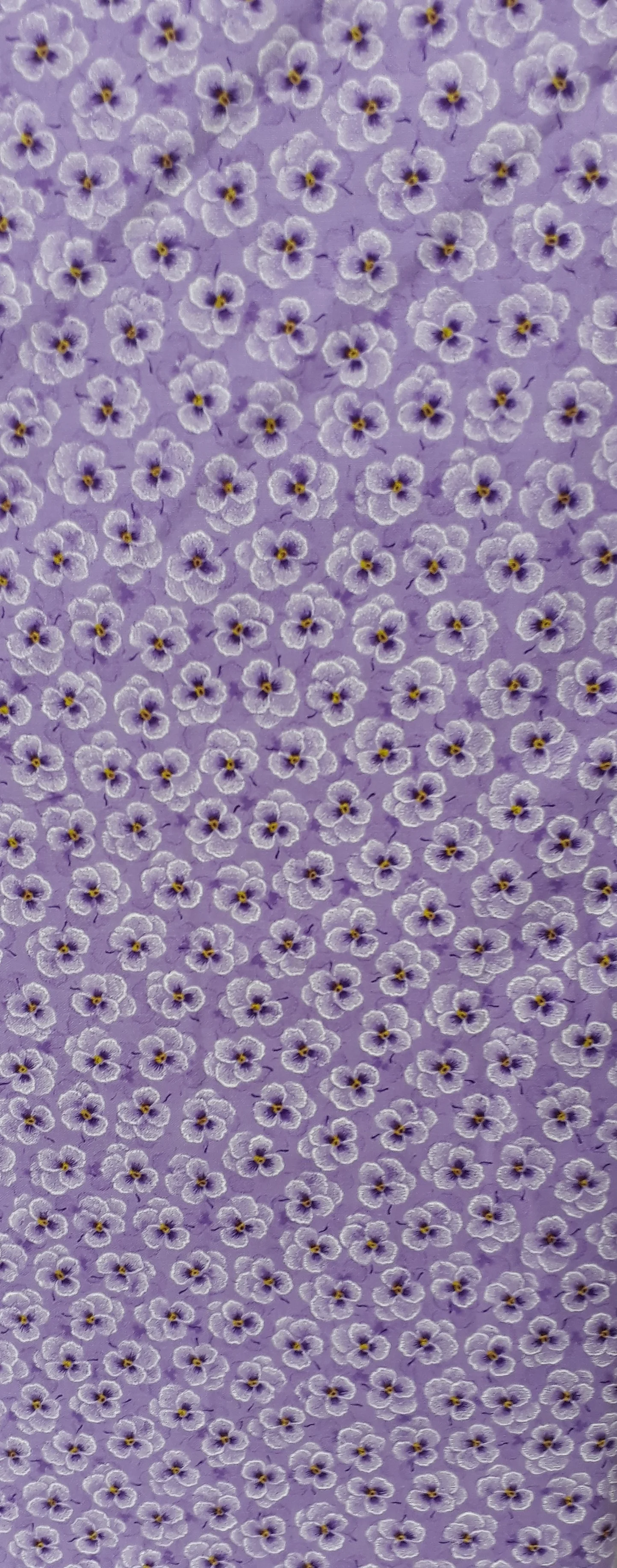 20190327_130207 (2).jpg