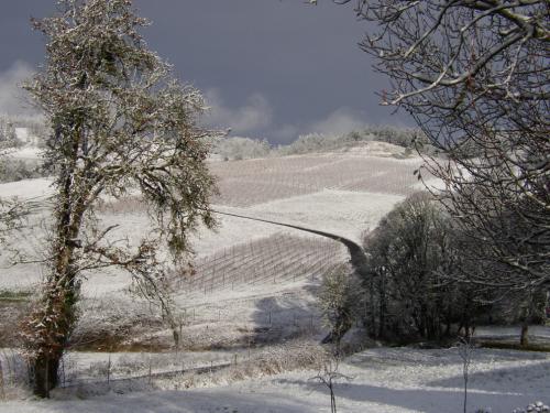 Winter 2006.jpg