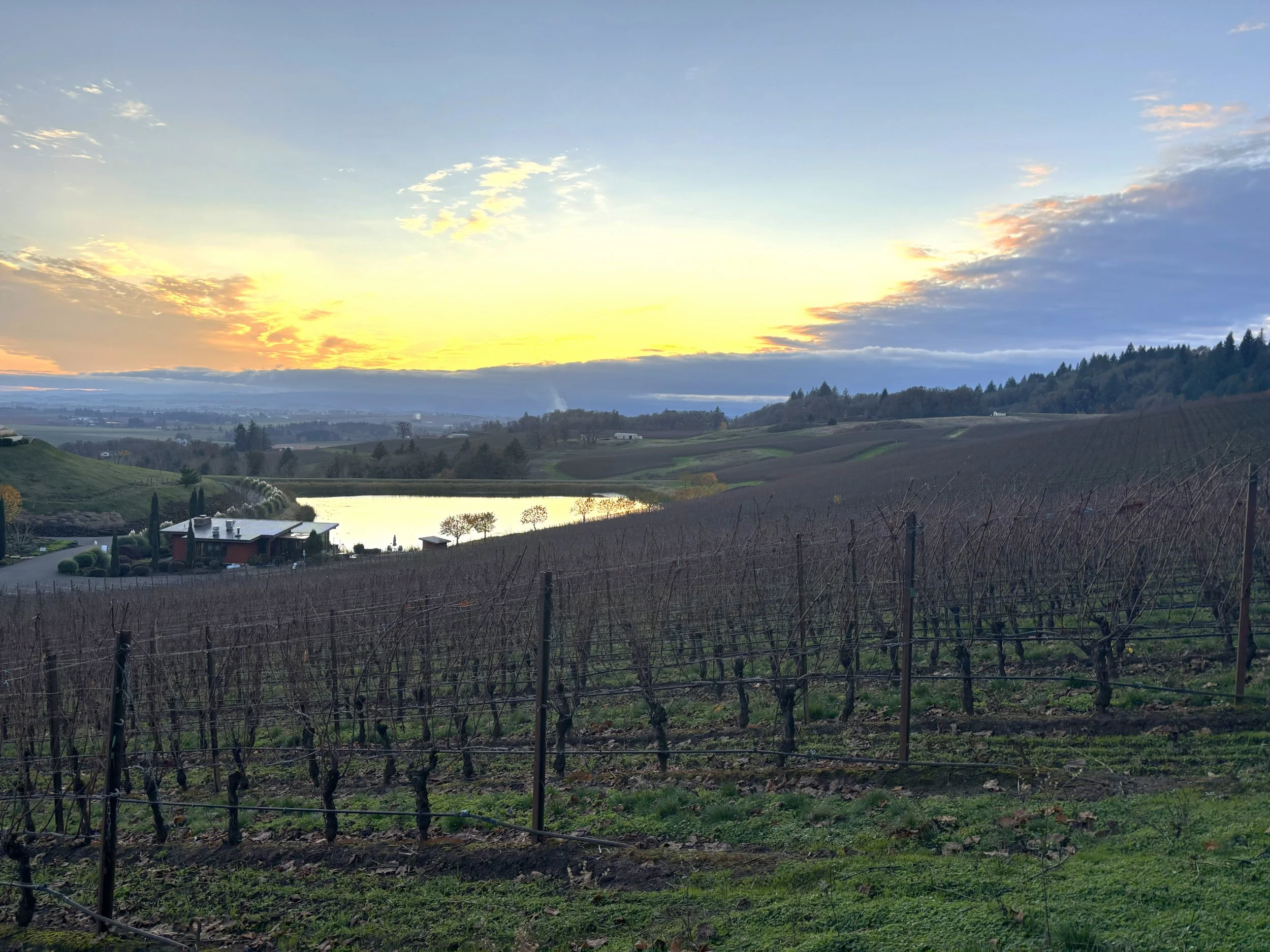 Edited Dukes winter sunset.JPG