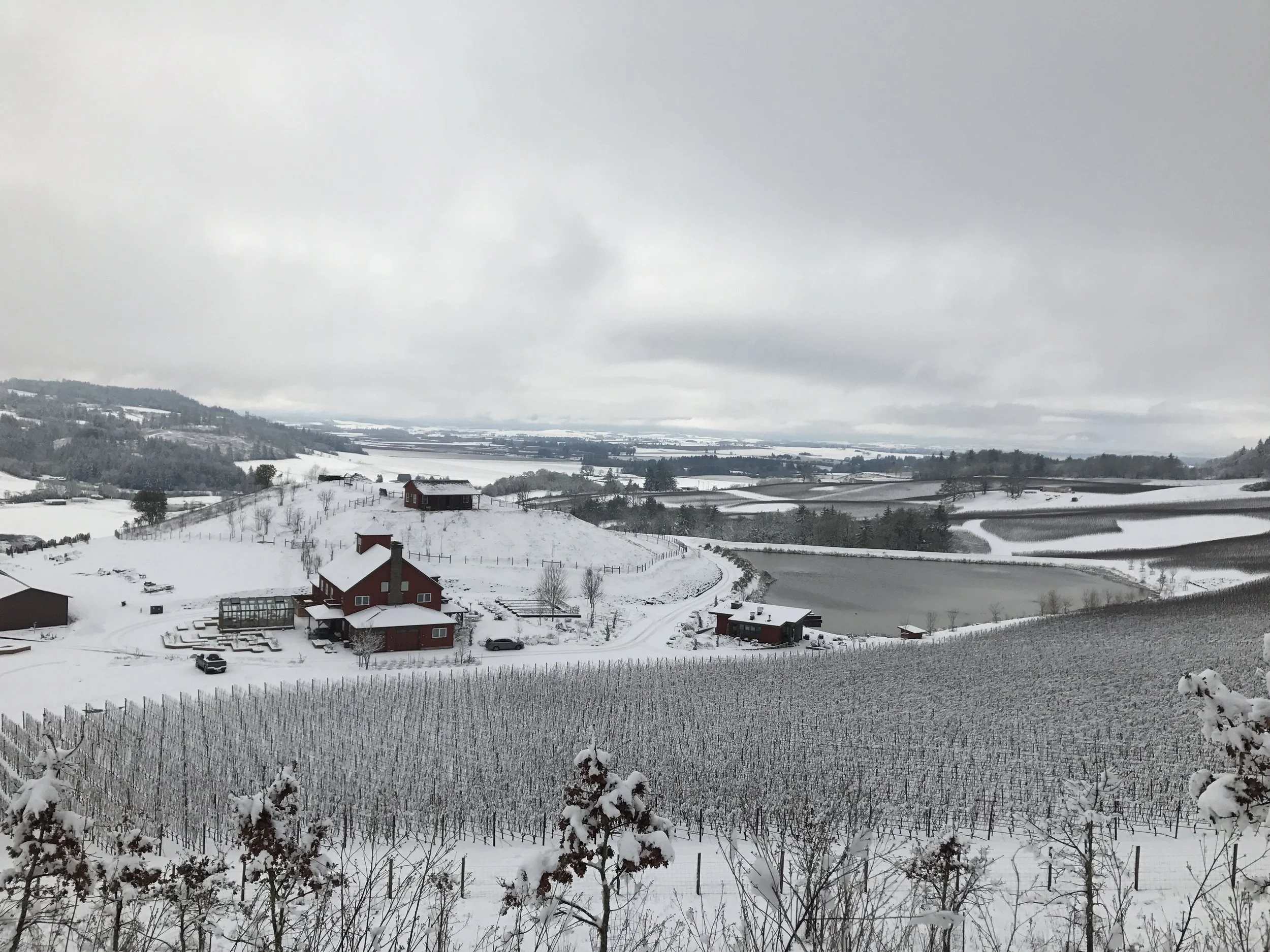 Hilltop Property with Snow.JPG