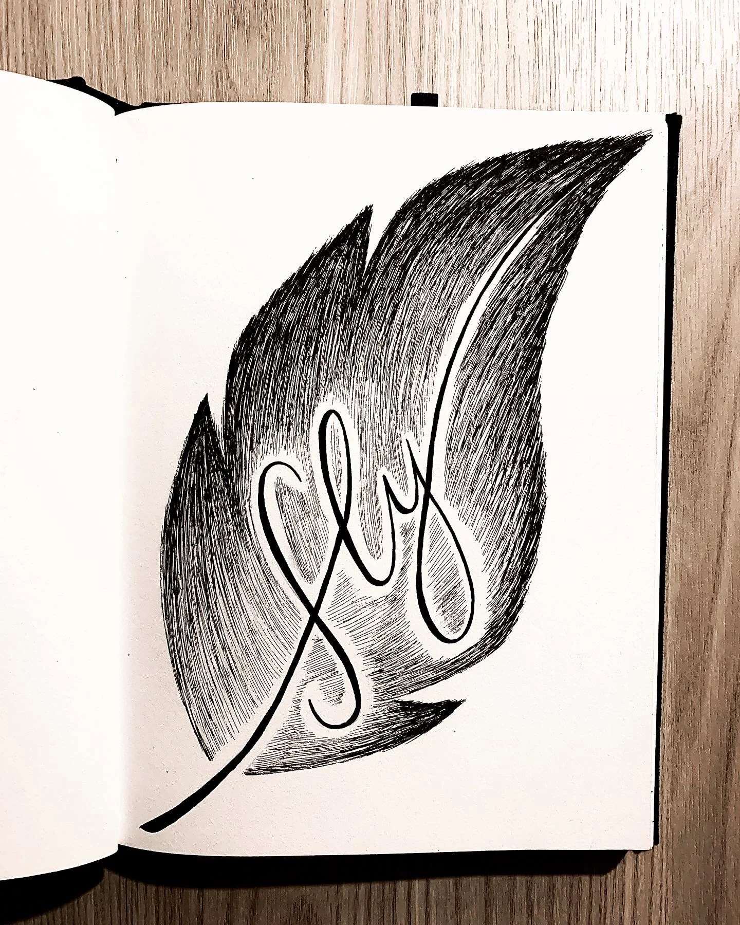Day 20- Fly