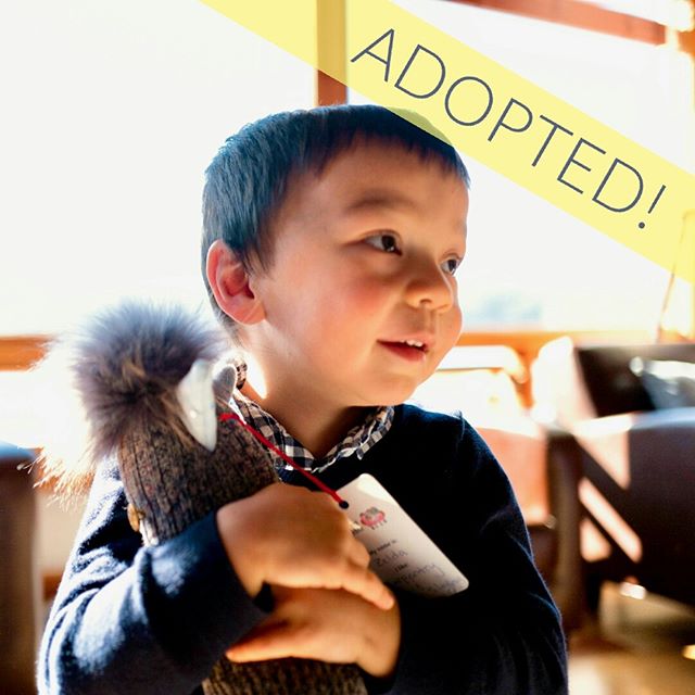 Zelda has finally found his Forever home! Zelda likes carpentry and dragon slaying, which we think is a perfect match. While this little guy might not be too good at carpentry, he happens to be a master dragon slayer. These two have so much to share 