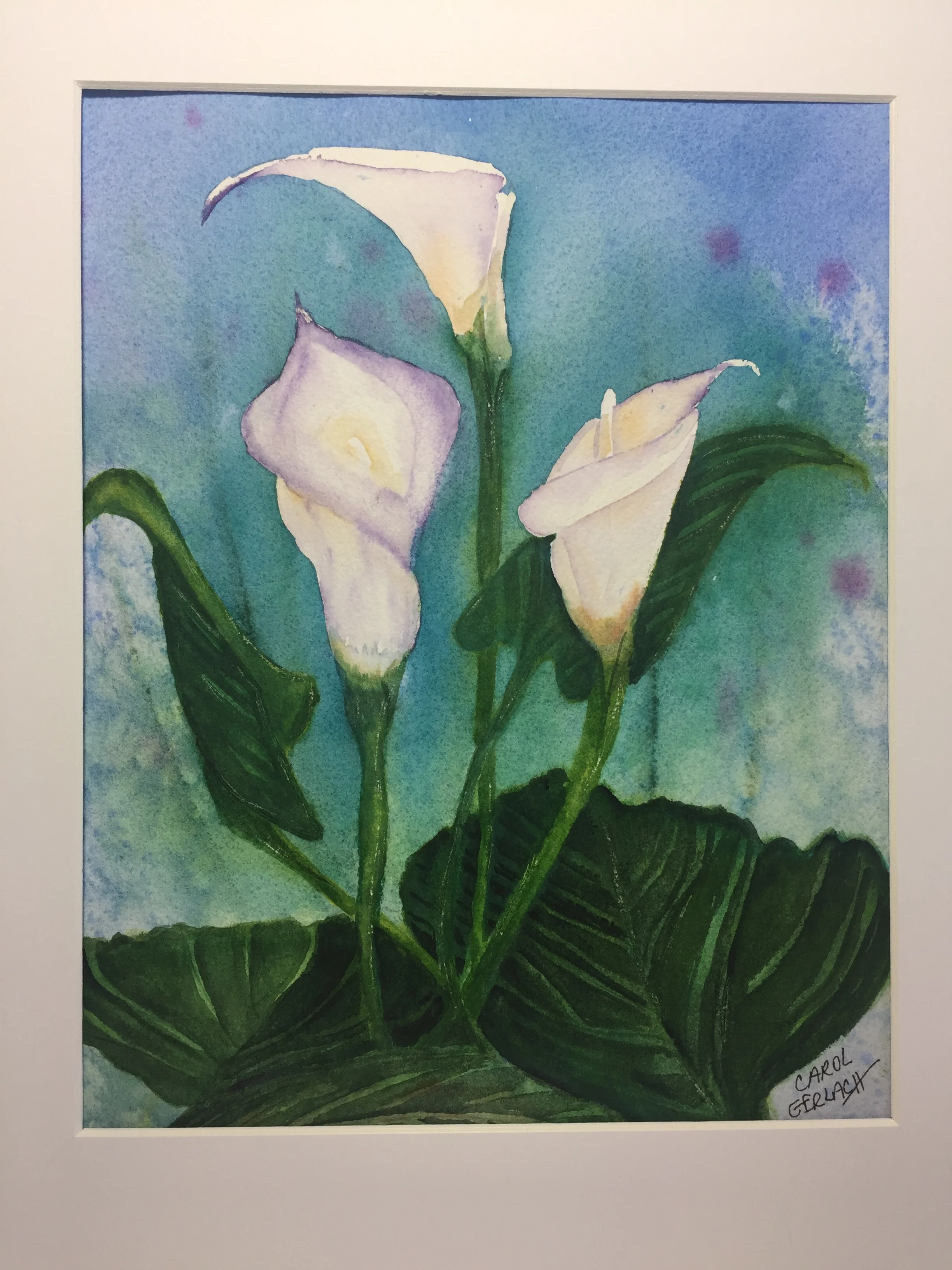 Nature’s Trumpets proclaiming