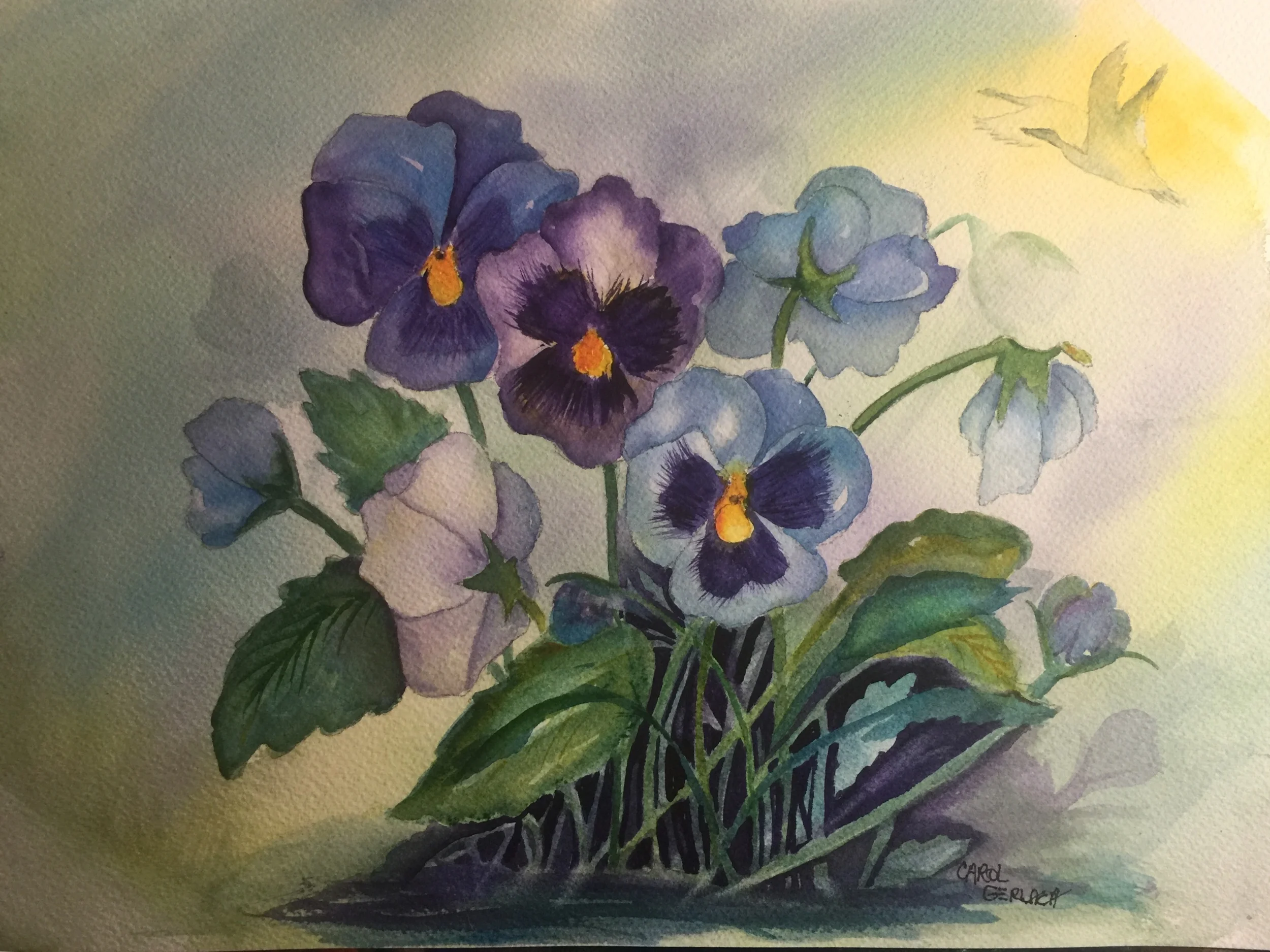 Little Purple Pansies
