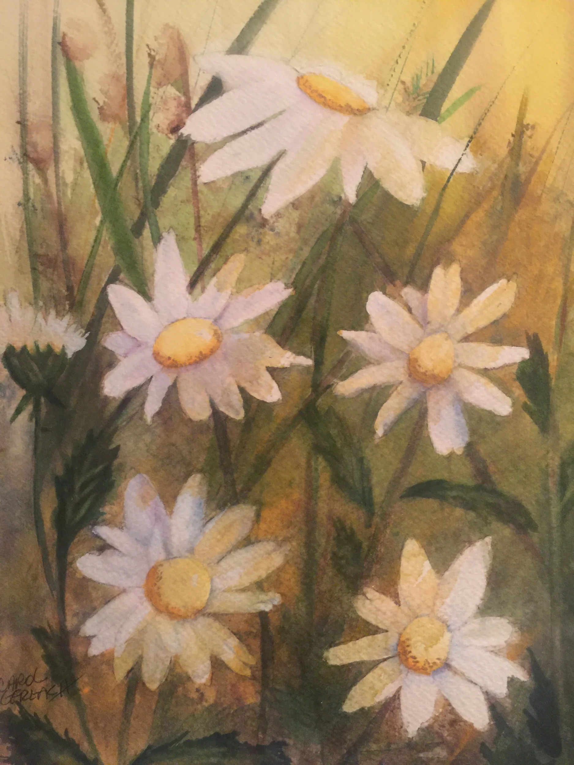 Sunflower field