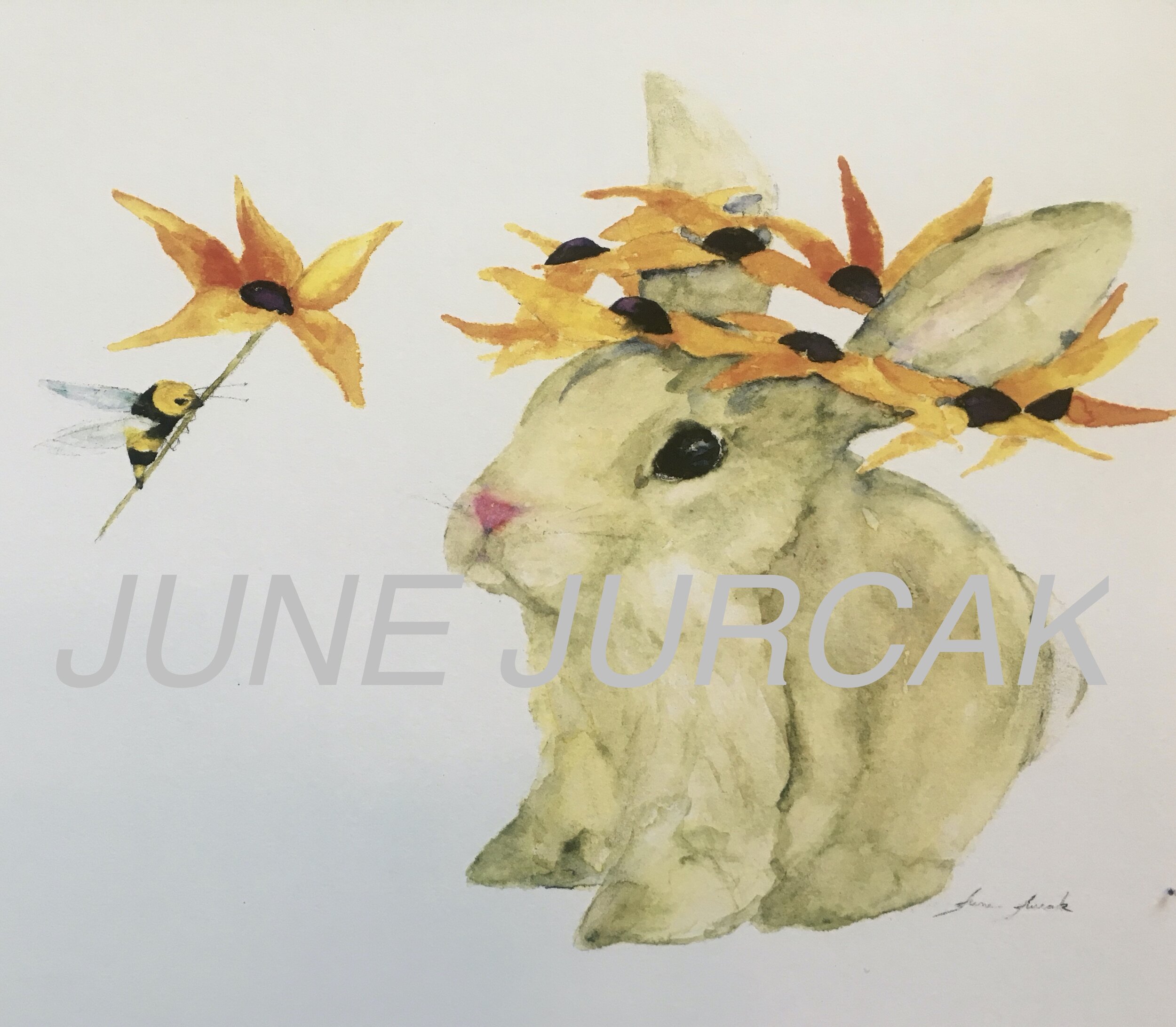 June Jurcak SOUTHWEST HORSE CACTUS QUAIL collection 16 greeting cards envelopes 