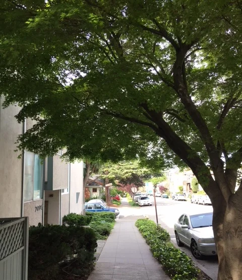 Vine+Street.jpg