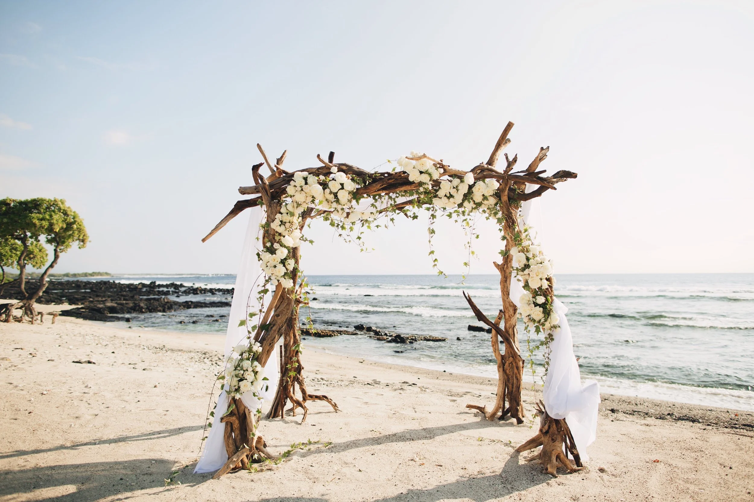 Photo by Anna Kim 109.jpg