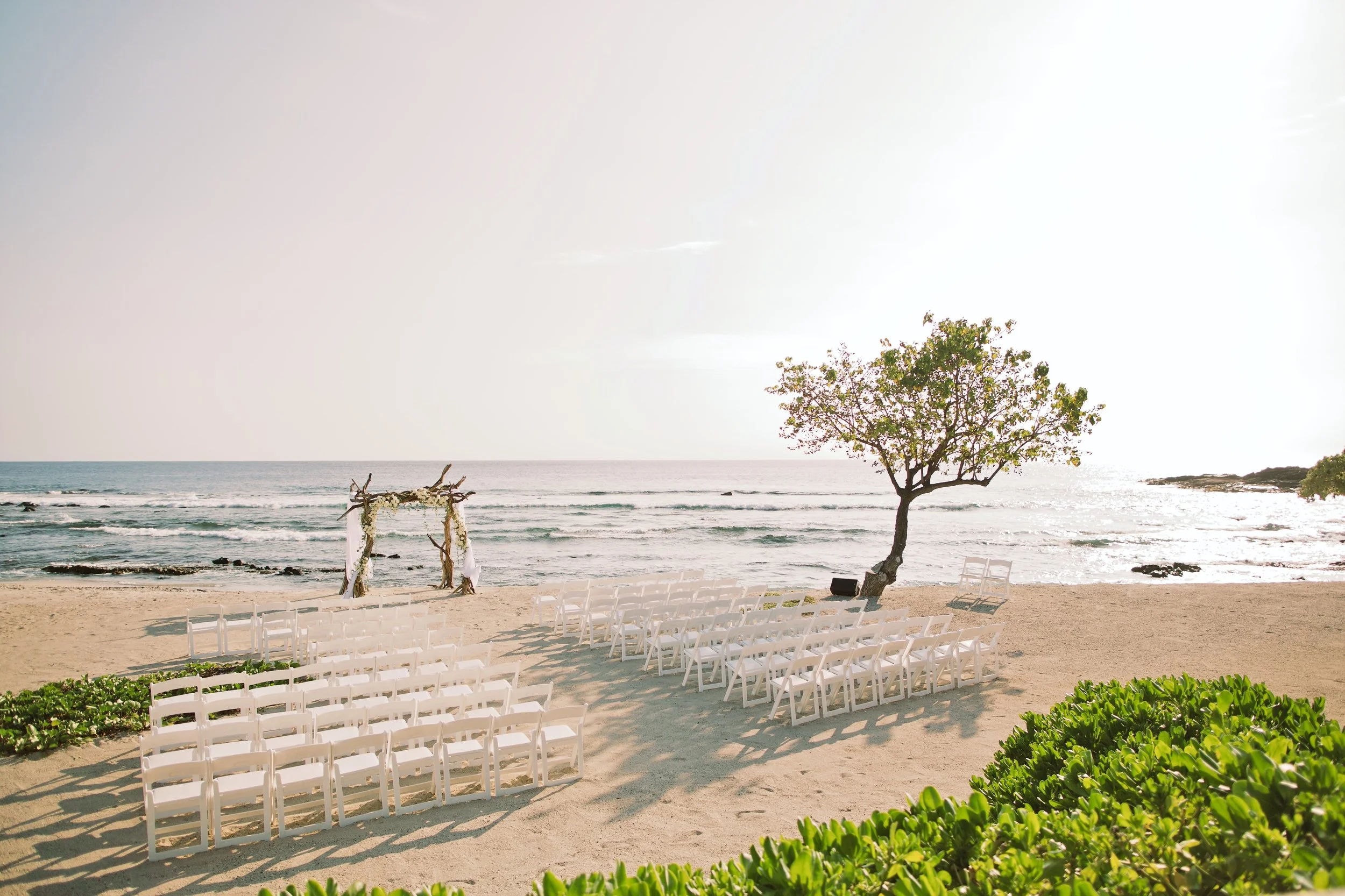 Photo by Anna Kim 165.jpg