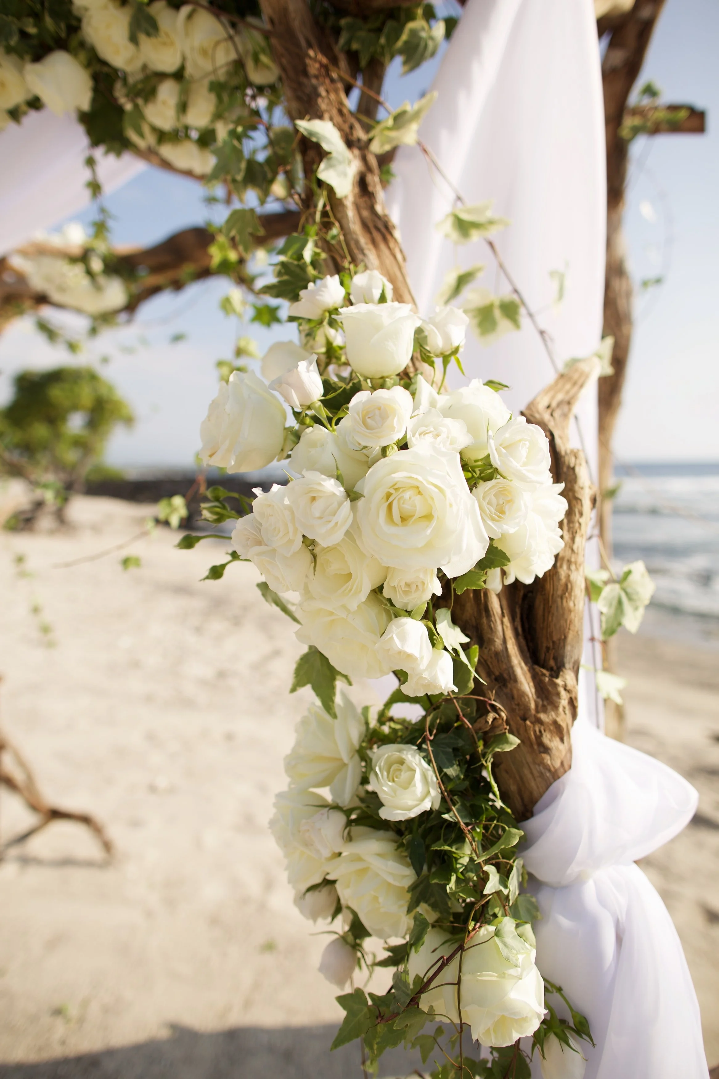 Photo by Anna Kim 110.jpg