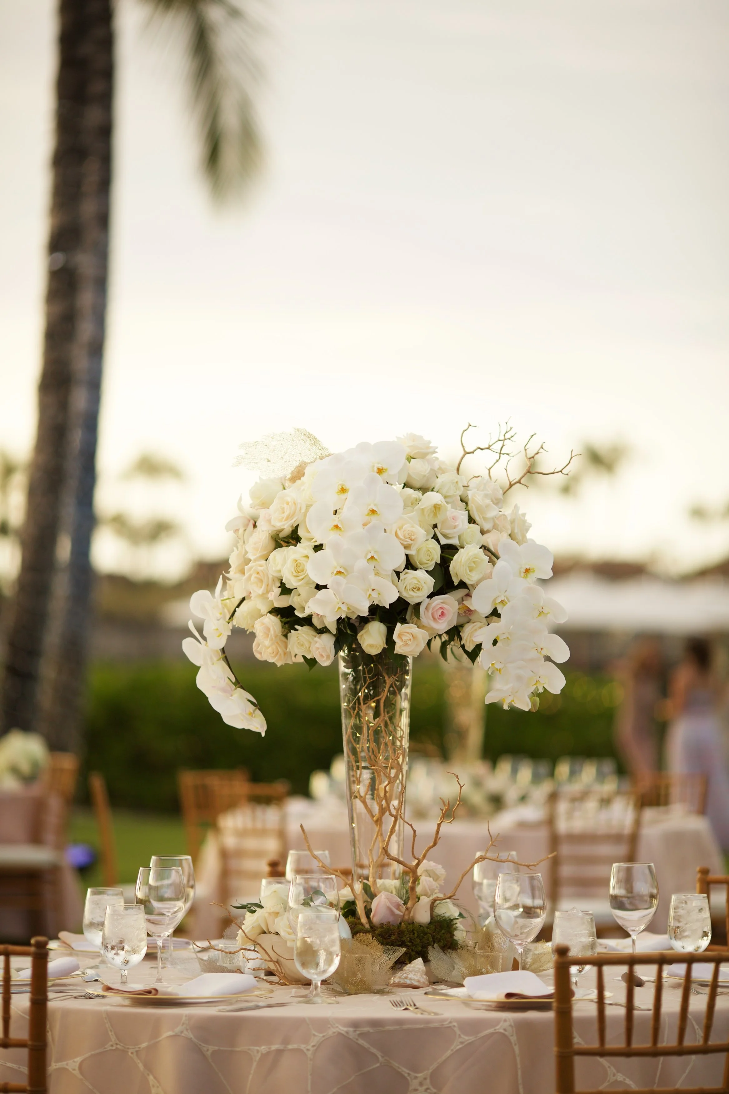 Photo by Anna Kim 528.jpg