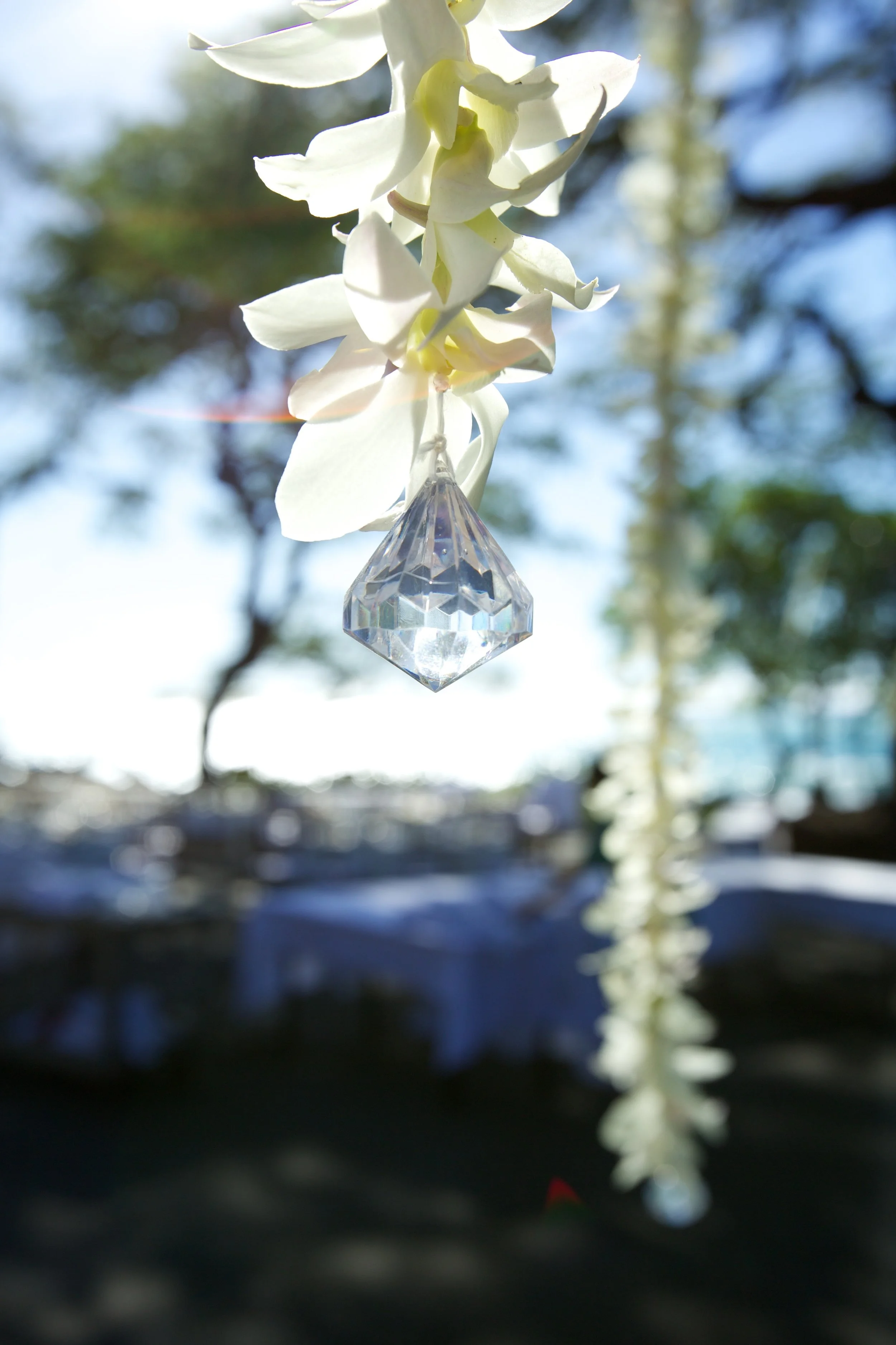 Toby_Hoogs_Photography_0095.jpg