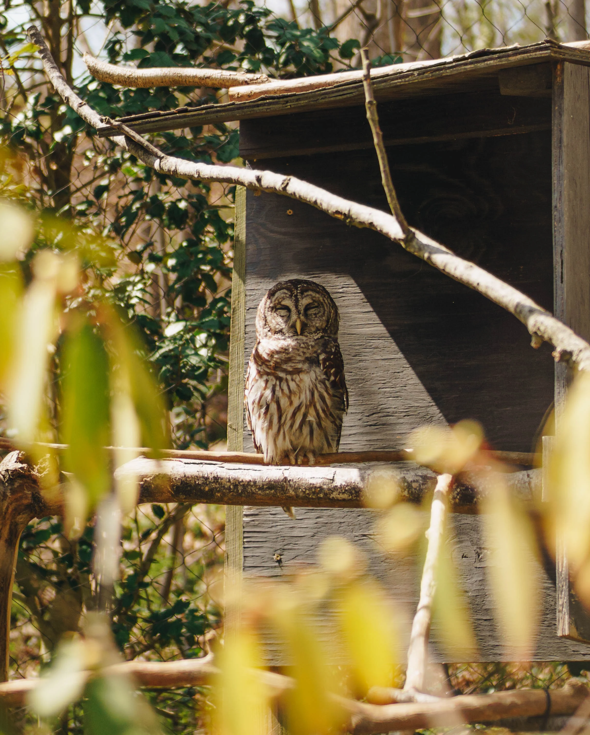DSC05175-2.jpg