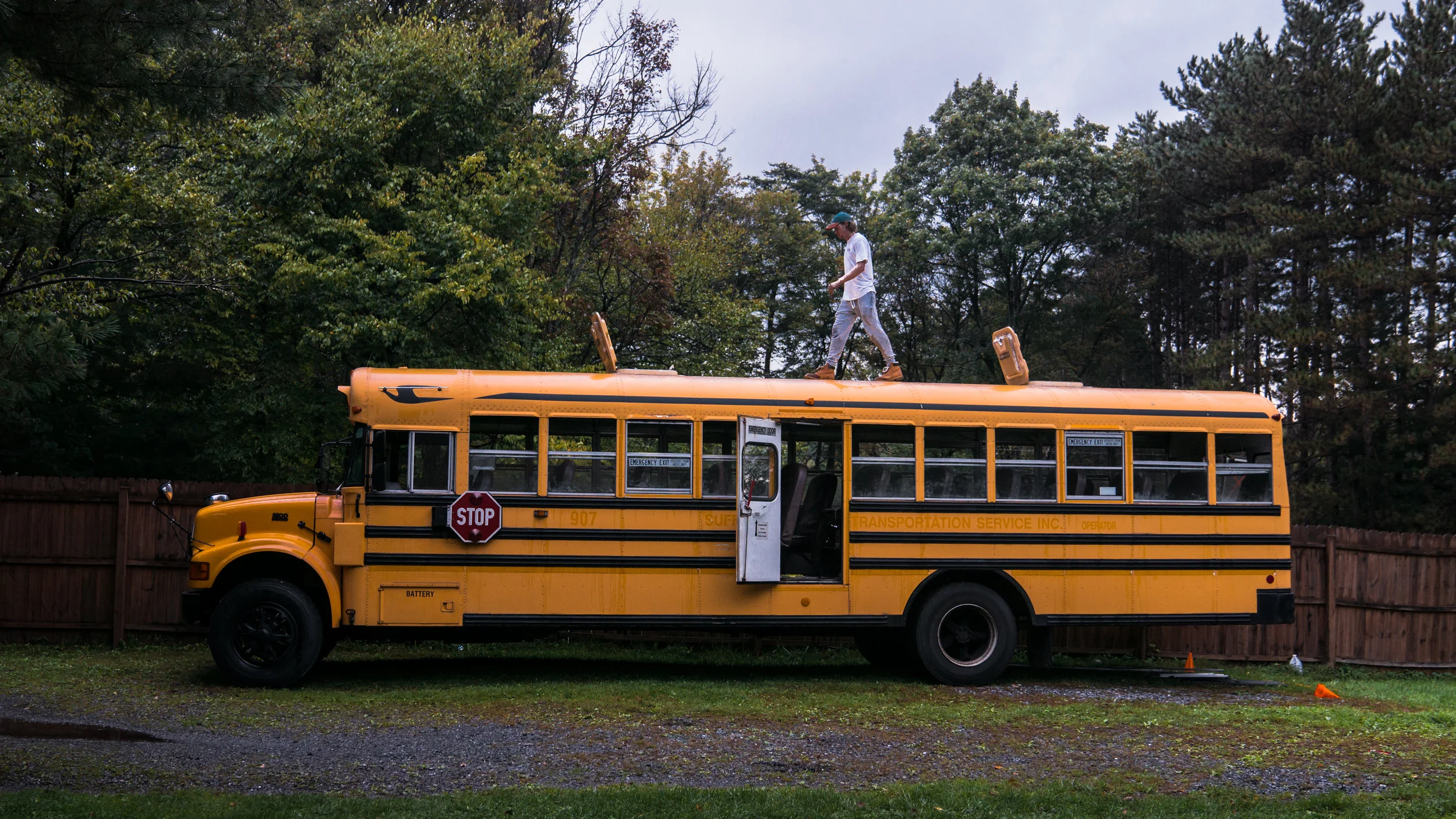 _DSC6687crop.jpg