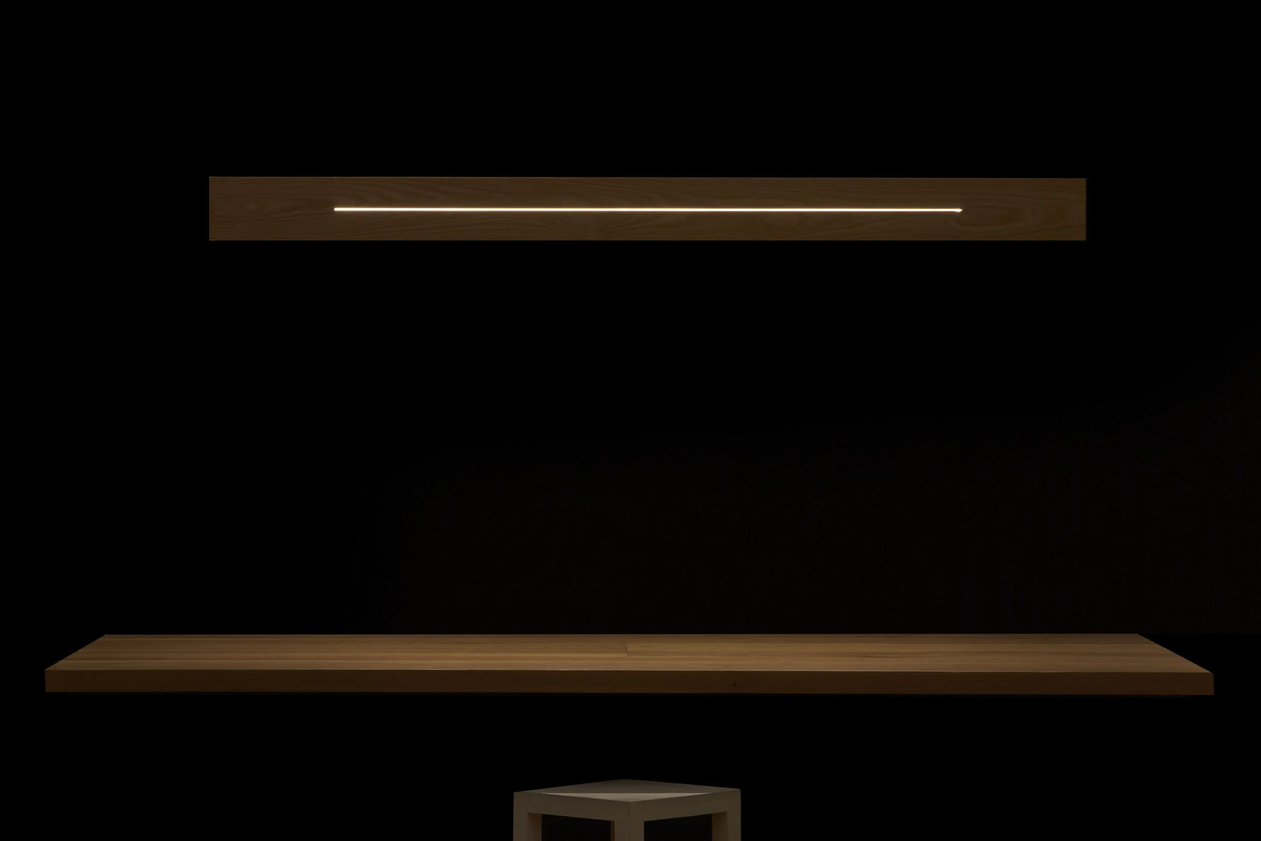 PLANK_666.jpg