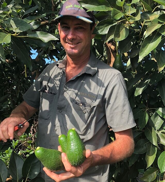 Where would we be without our farmers? Peter Howe of @rockridgefarming Tablelands, North Queensland, Australia #freshproduce #avocados #bananas #rockridgefresh #australia