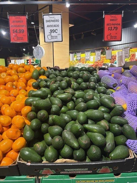 2026 Lutwhyce Avos S.jpg