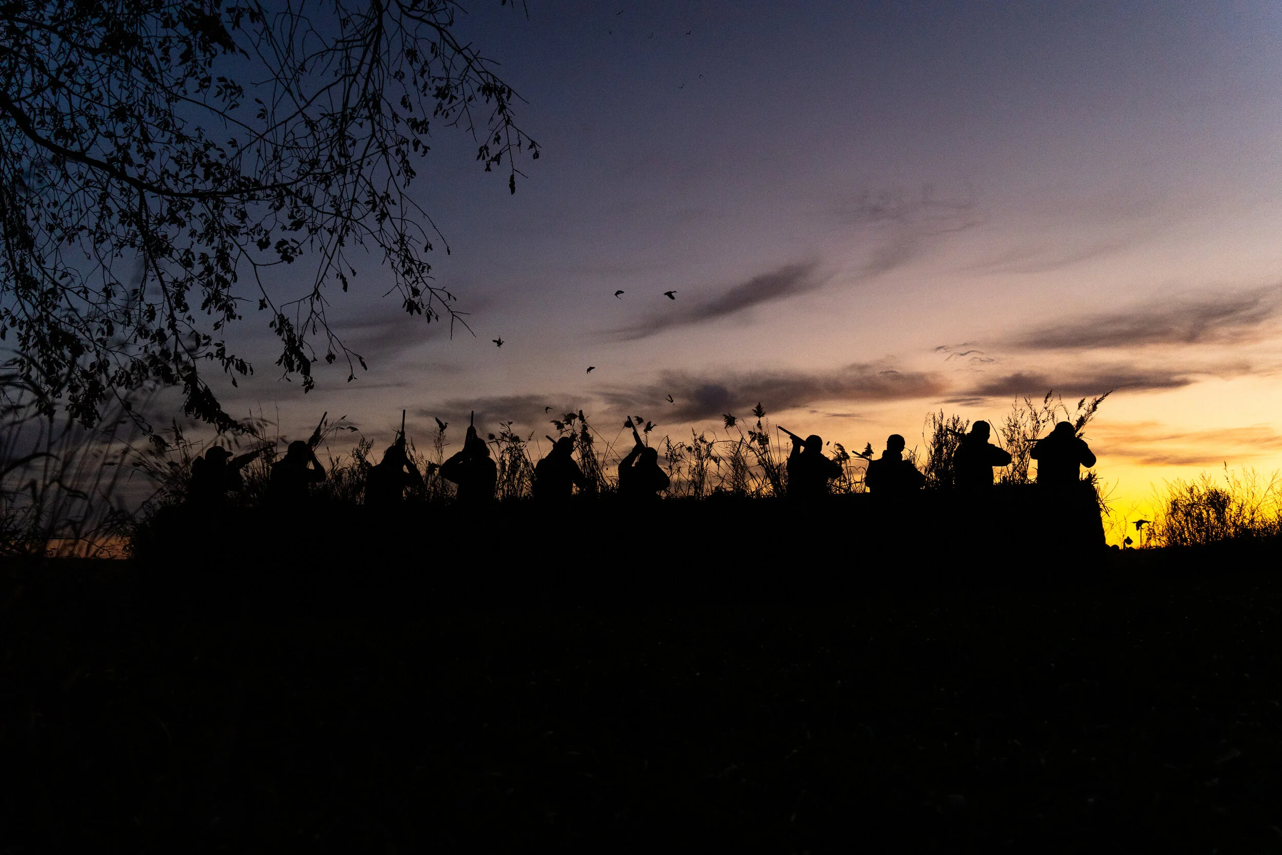DSC03730.jpg
