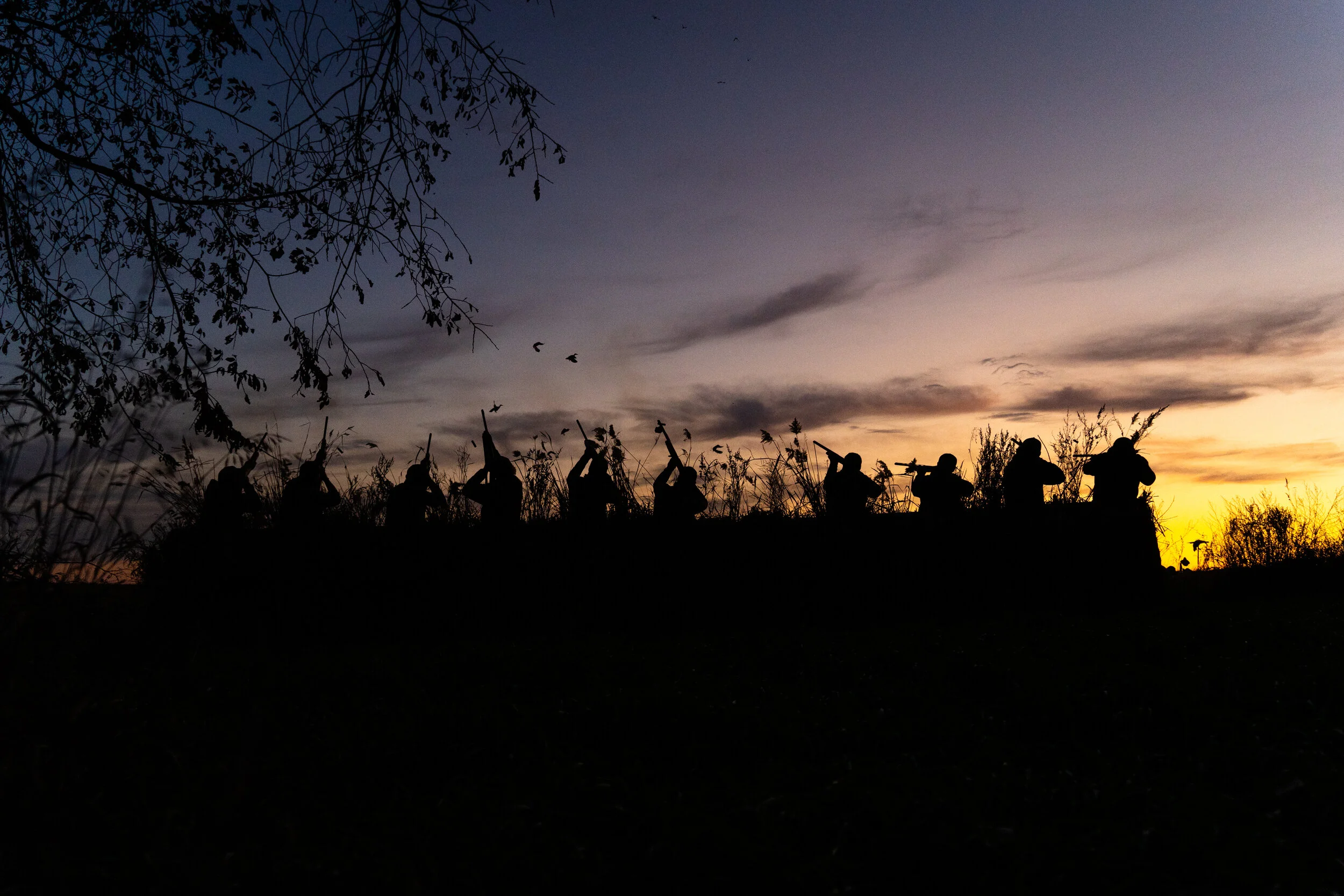 DSC03724.jpg