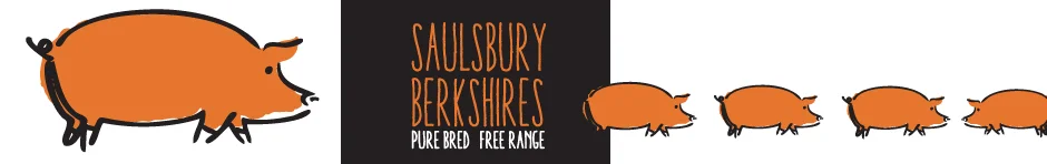 piggy WEB BOTTOM BANNER.jpg