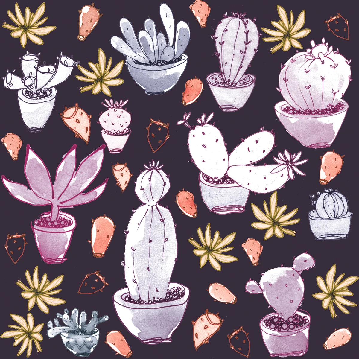 Cacti.jpg
