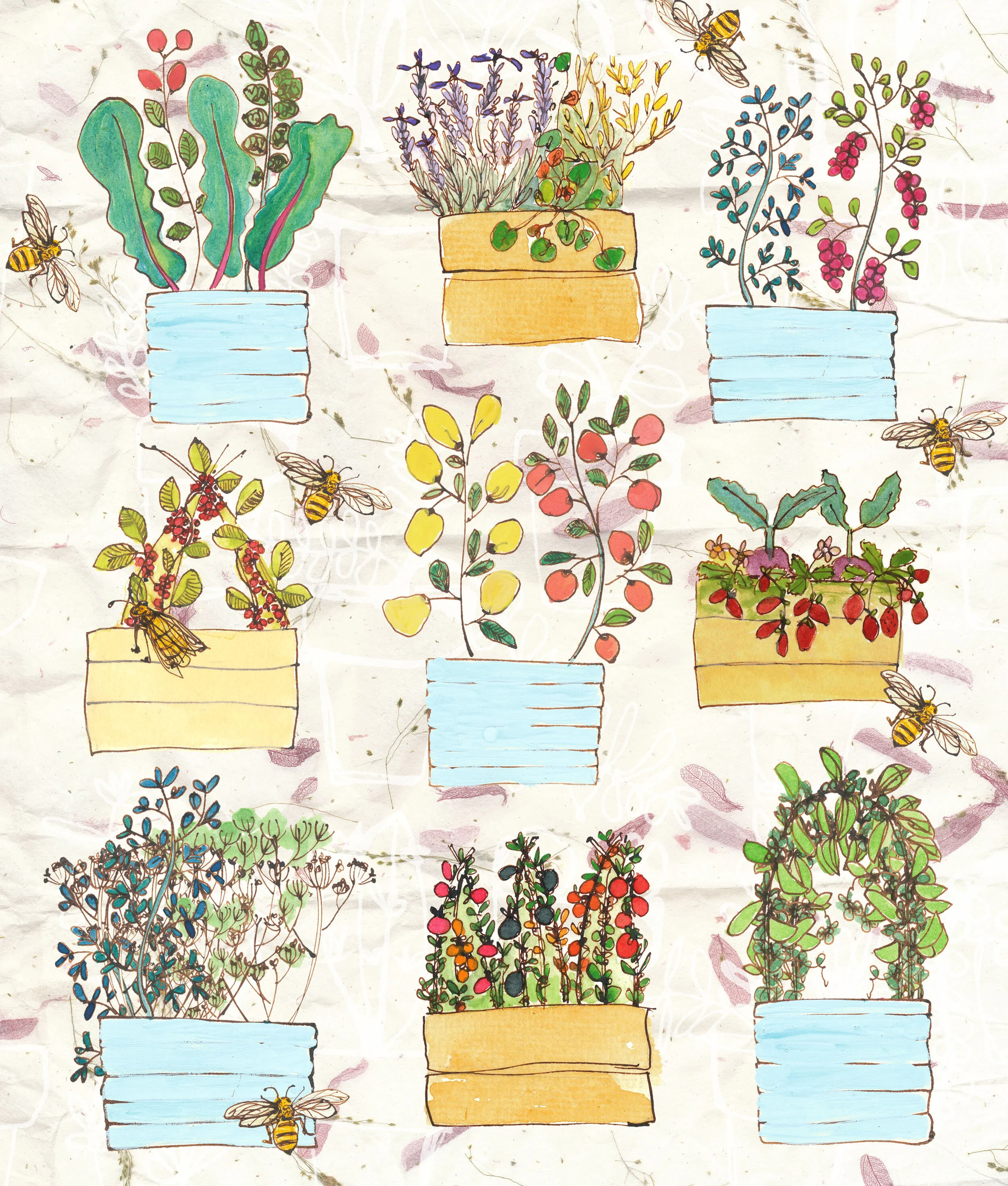 planter boxes .jpg
