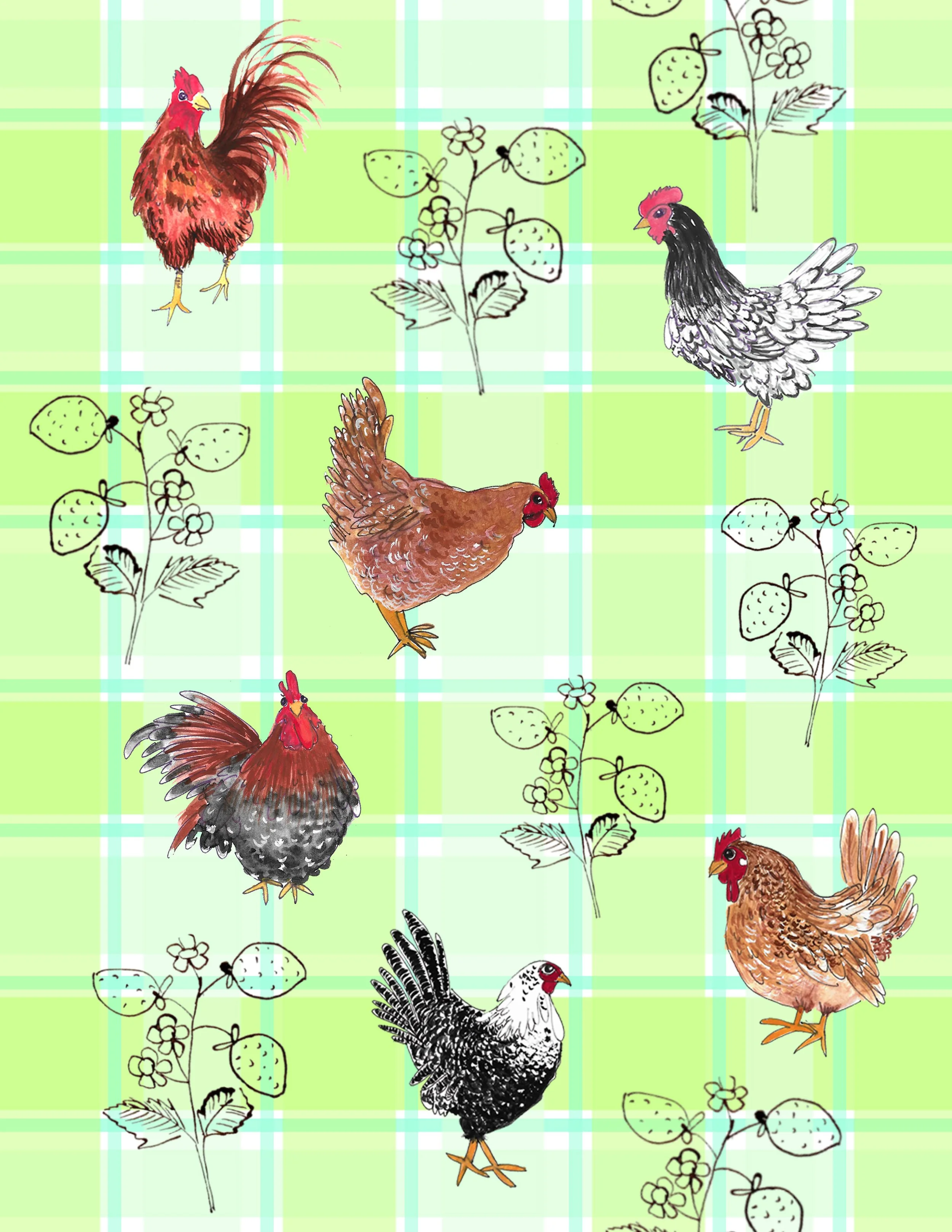 chook P.jpg