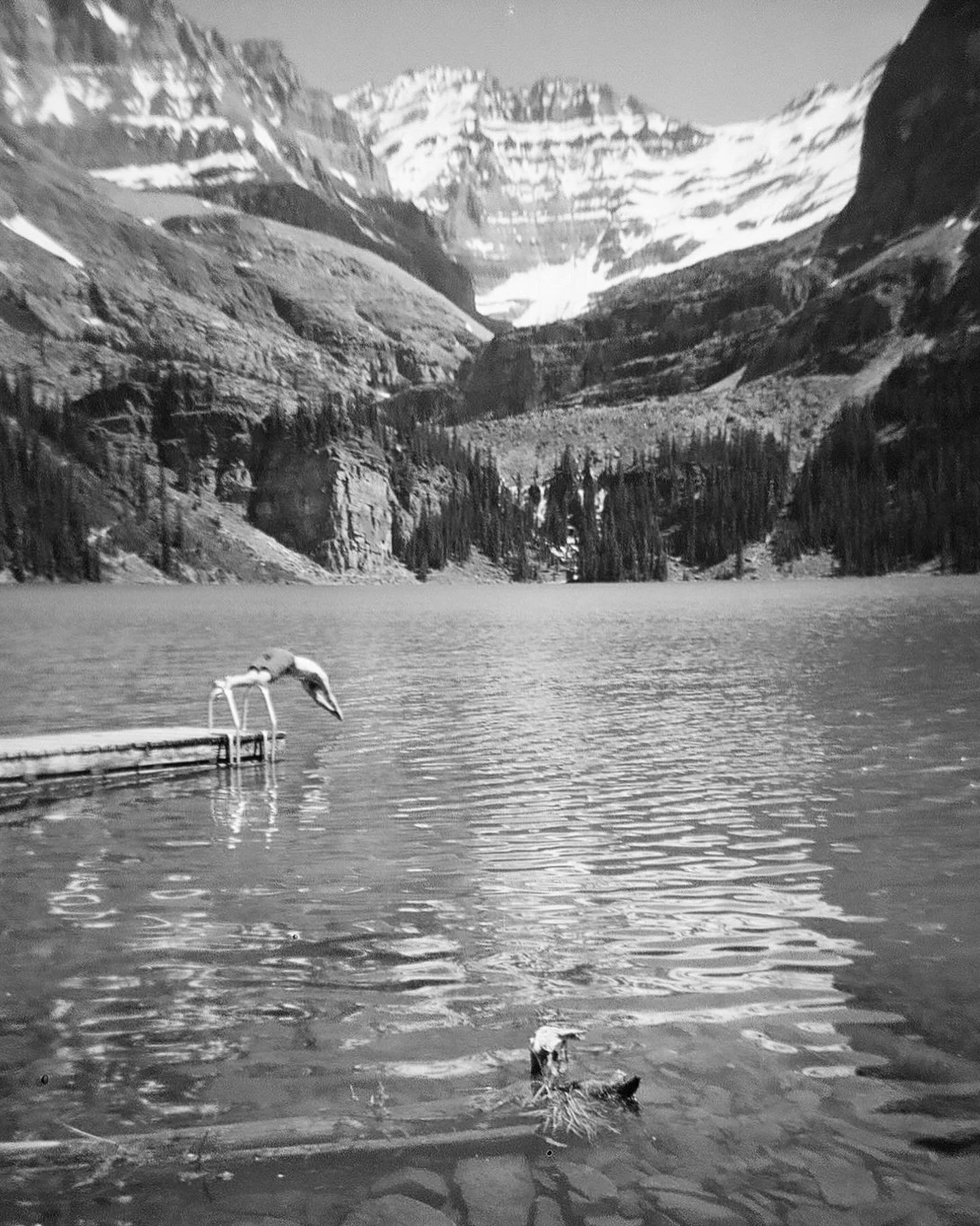 Summer in B&amp;W