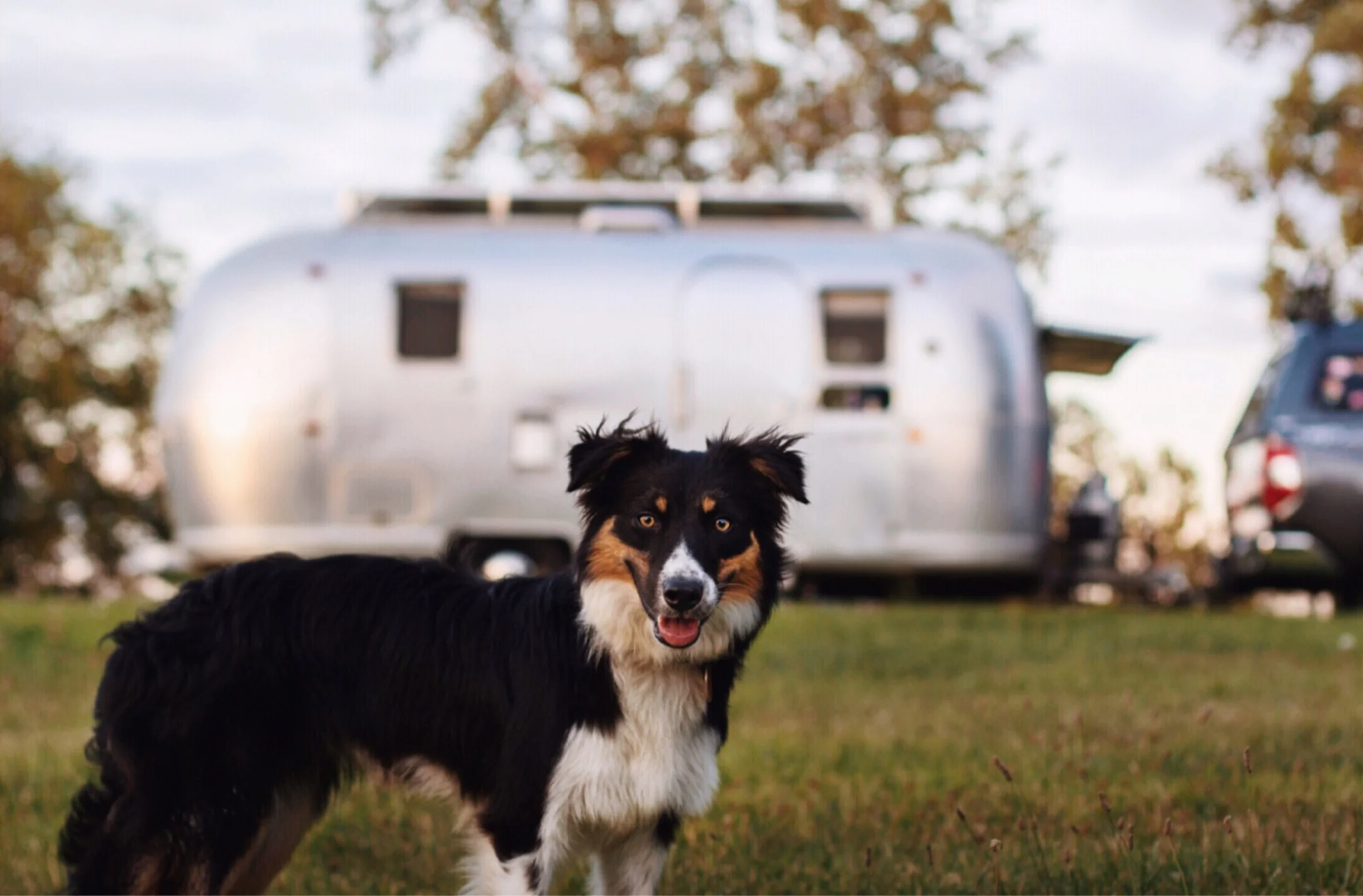 Parker in Front of Airstream.jpg