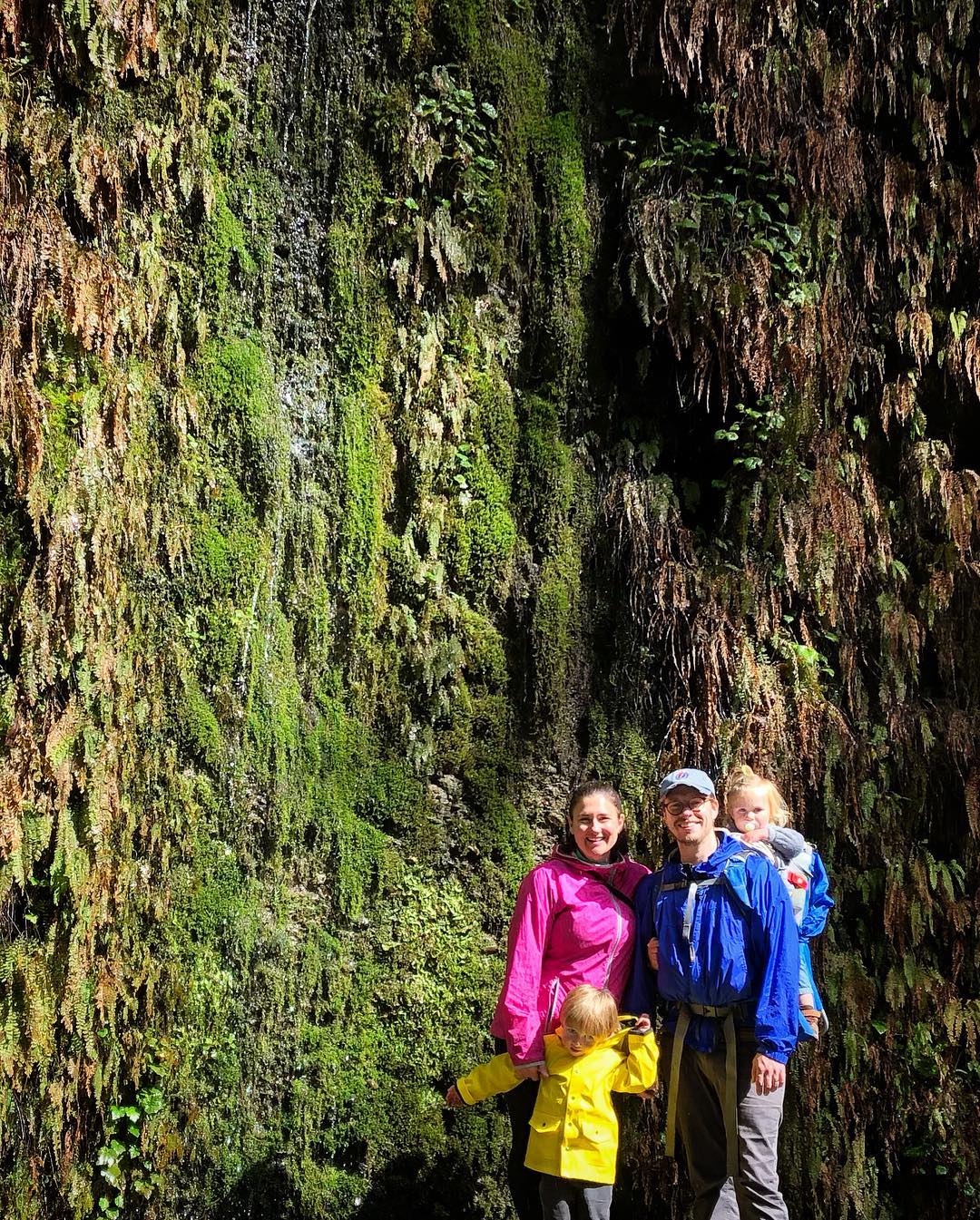 fern canyon.jpg